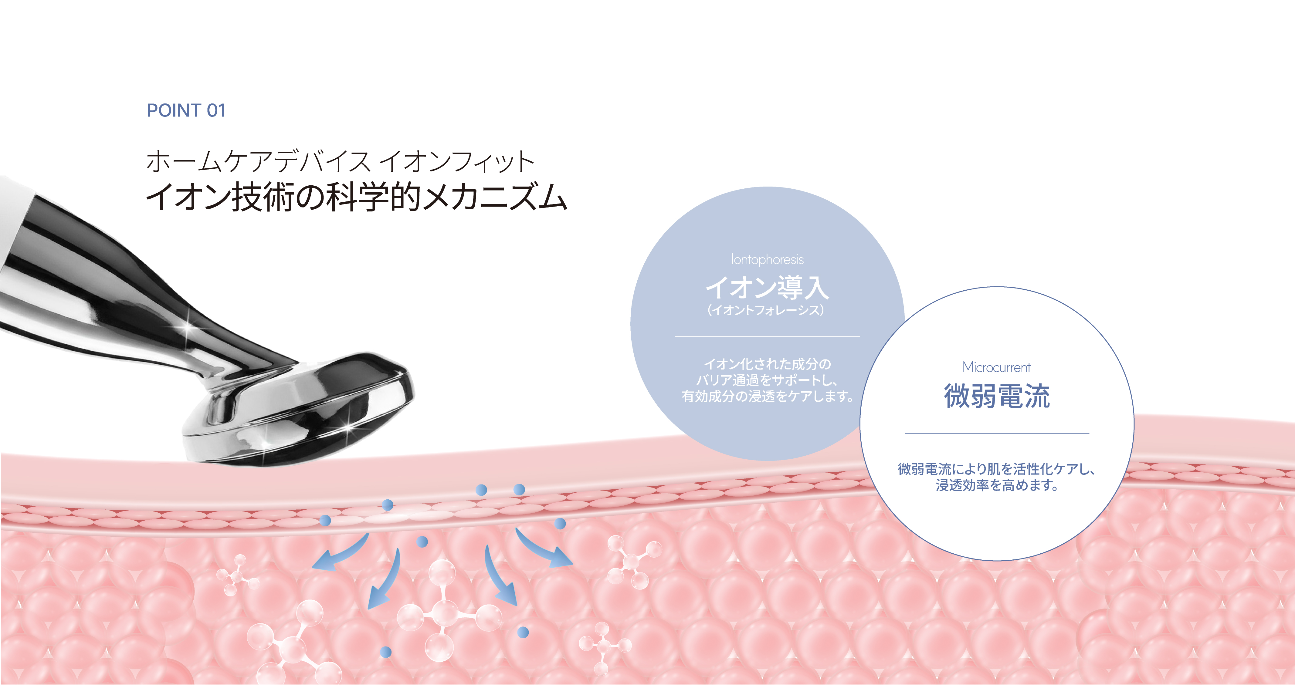 LP画像3 PC