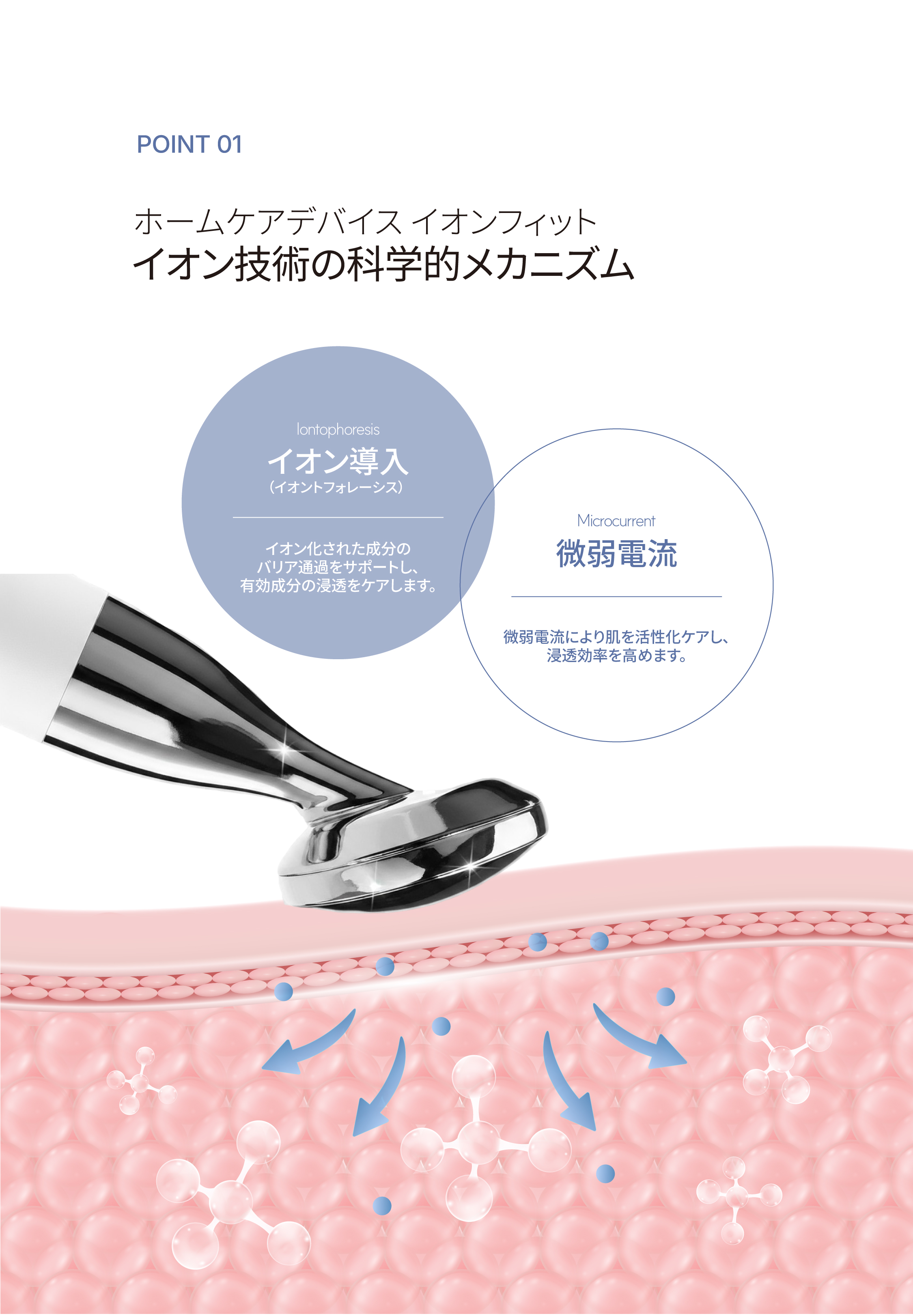 LP画像3 SP