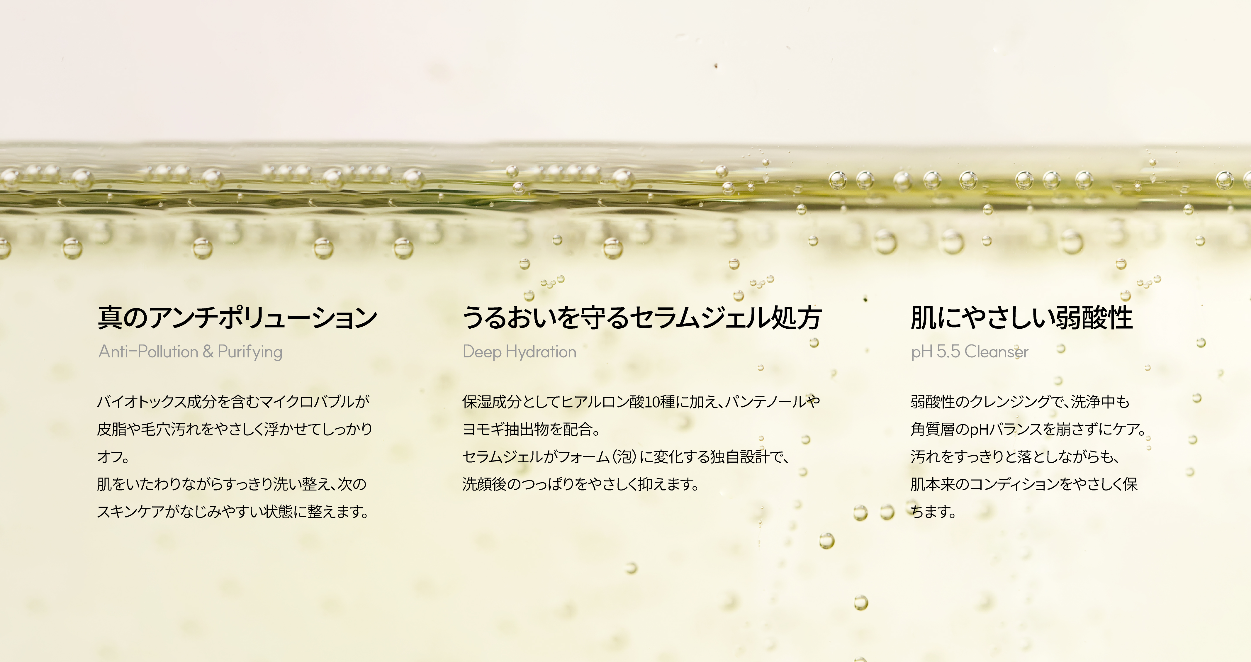 LP画像3 PC