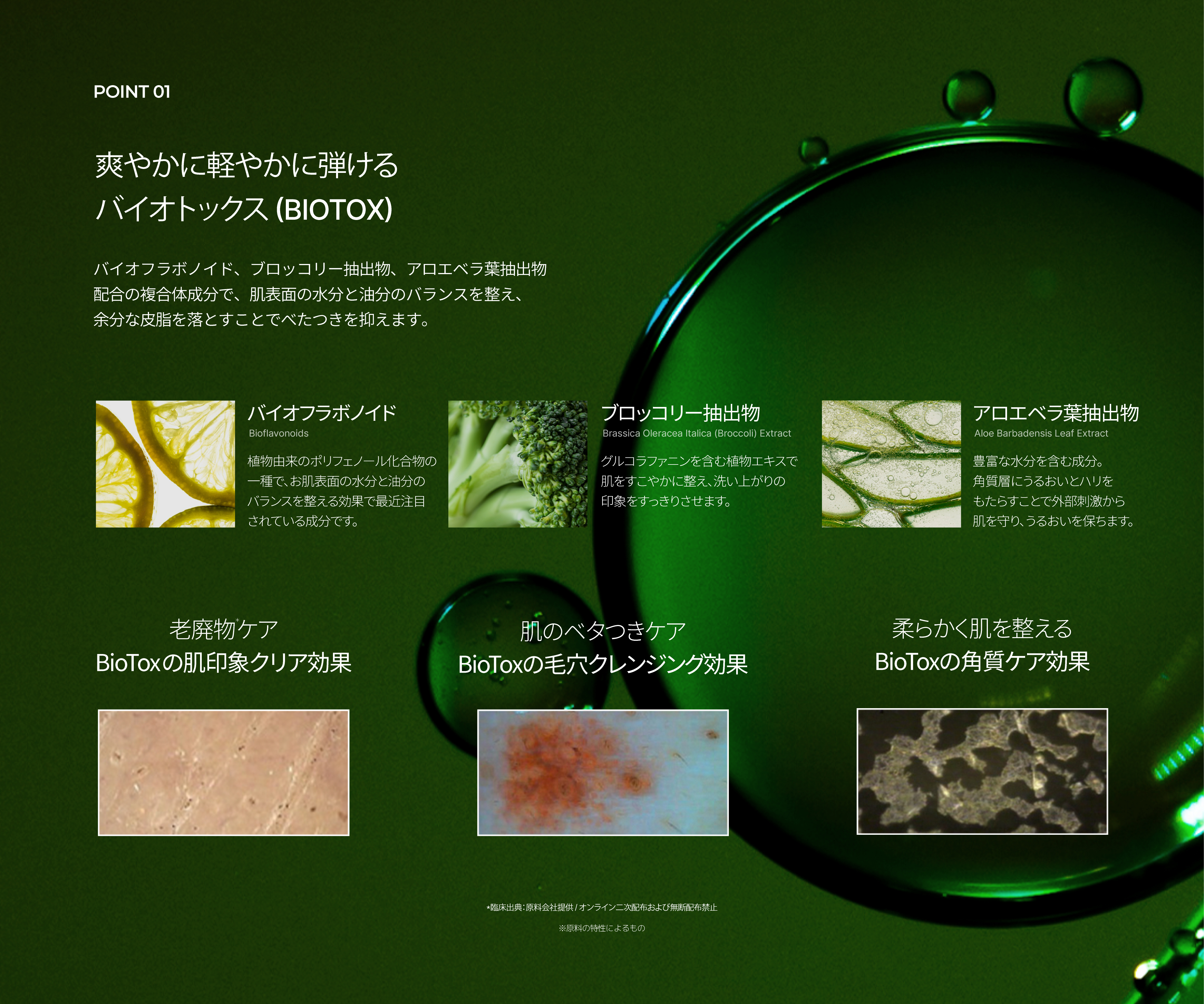 LP画像4 PC