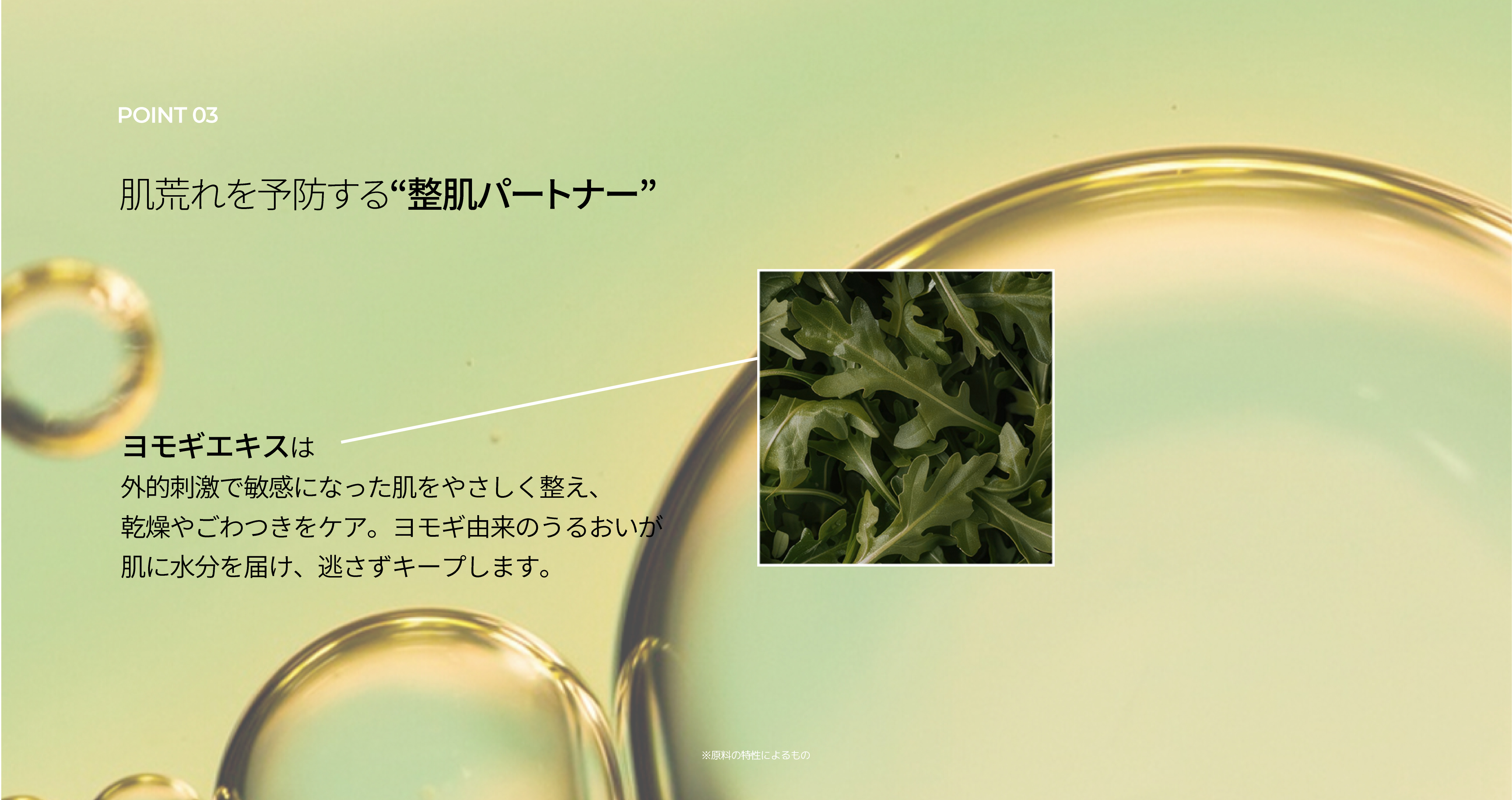 LP画像6 PC