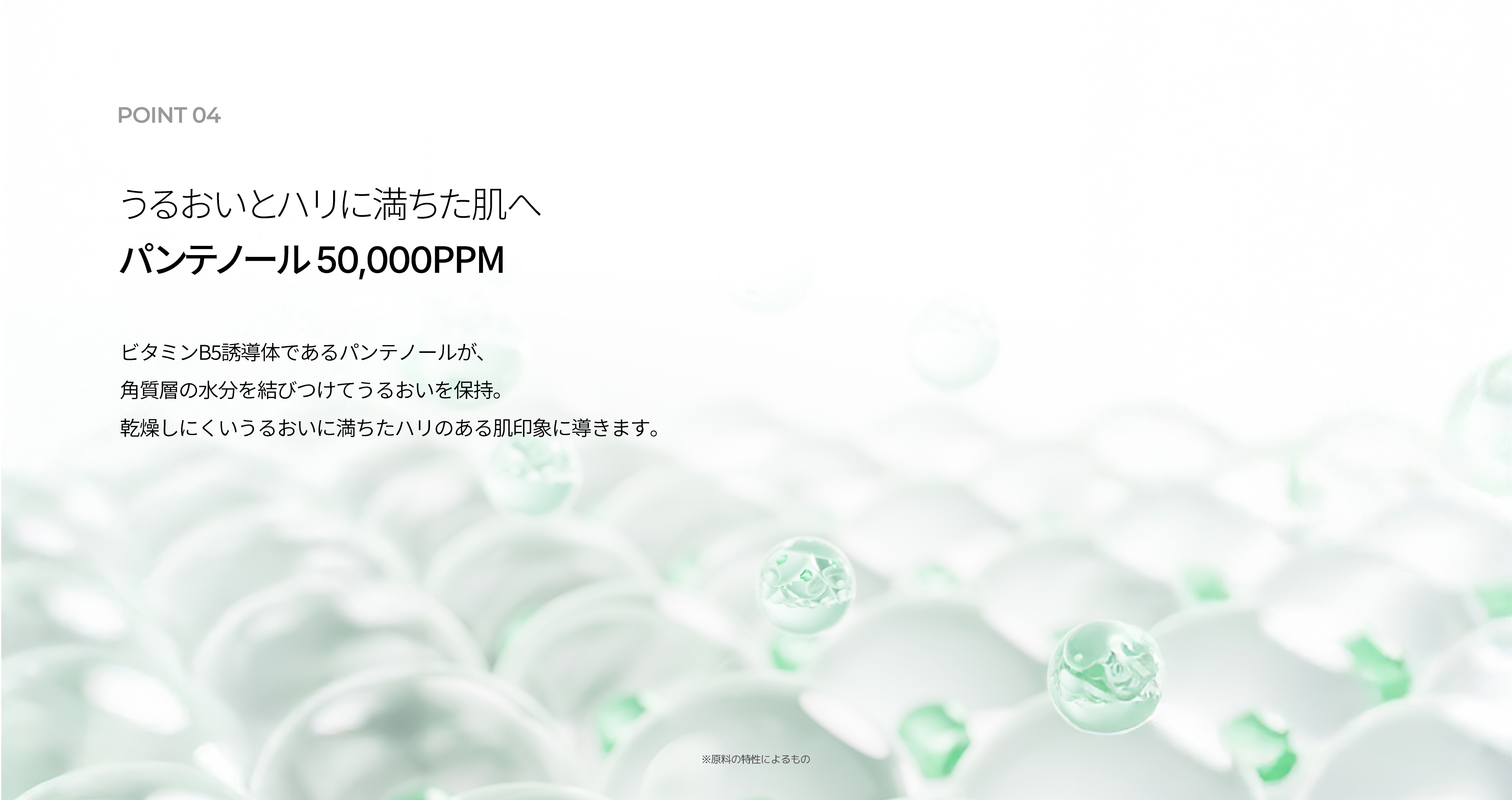 LP画像7 PC