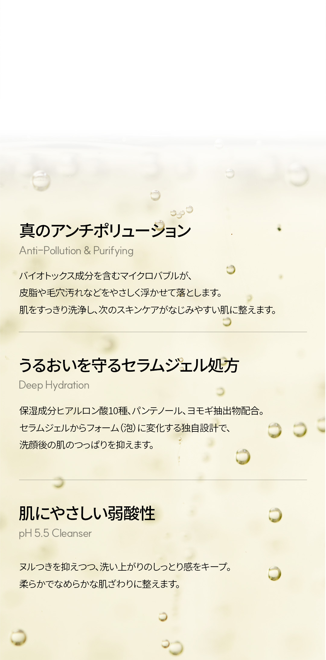 LP画像3 SP