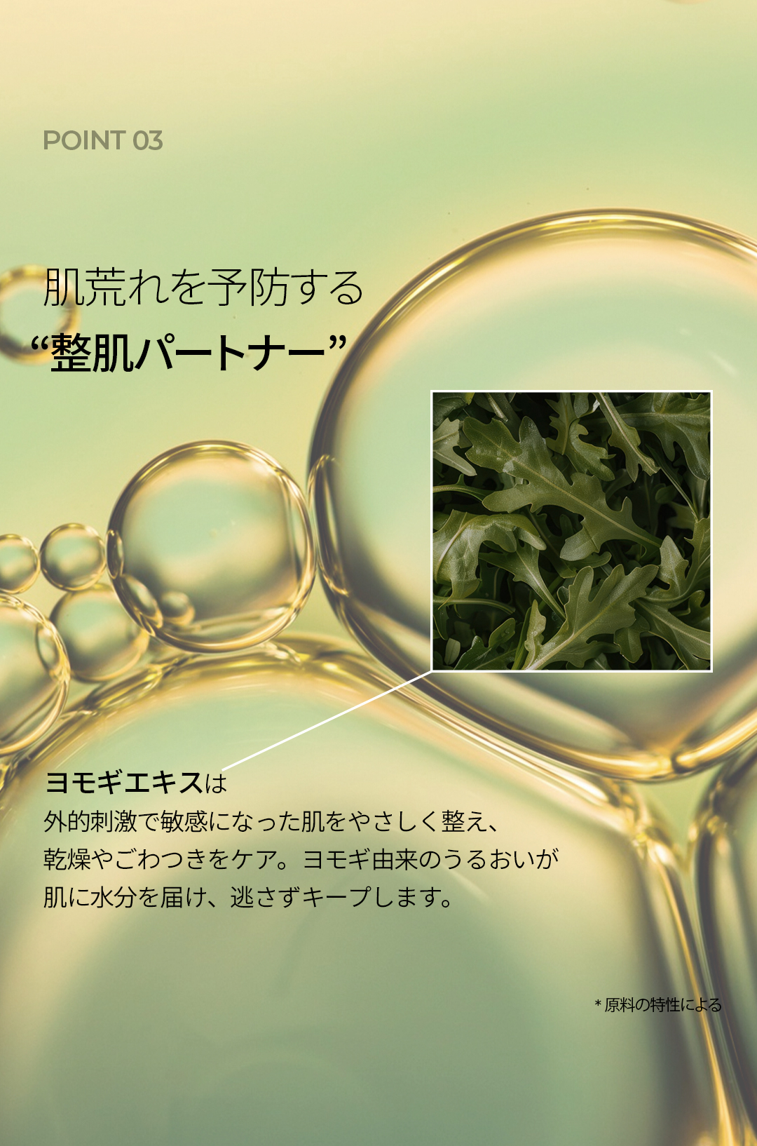 LP画像6 SP