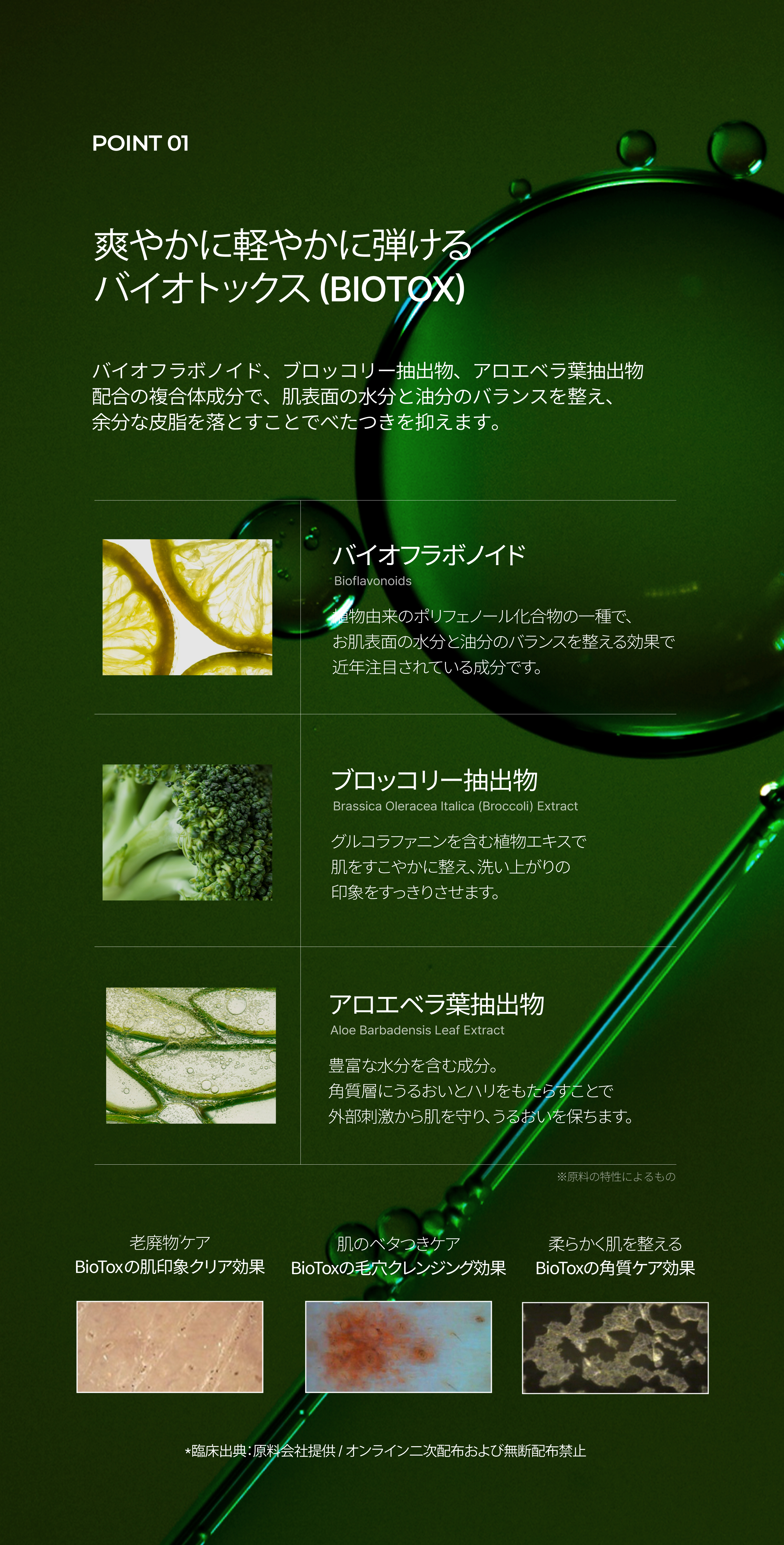 LP画像4 iPad