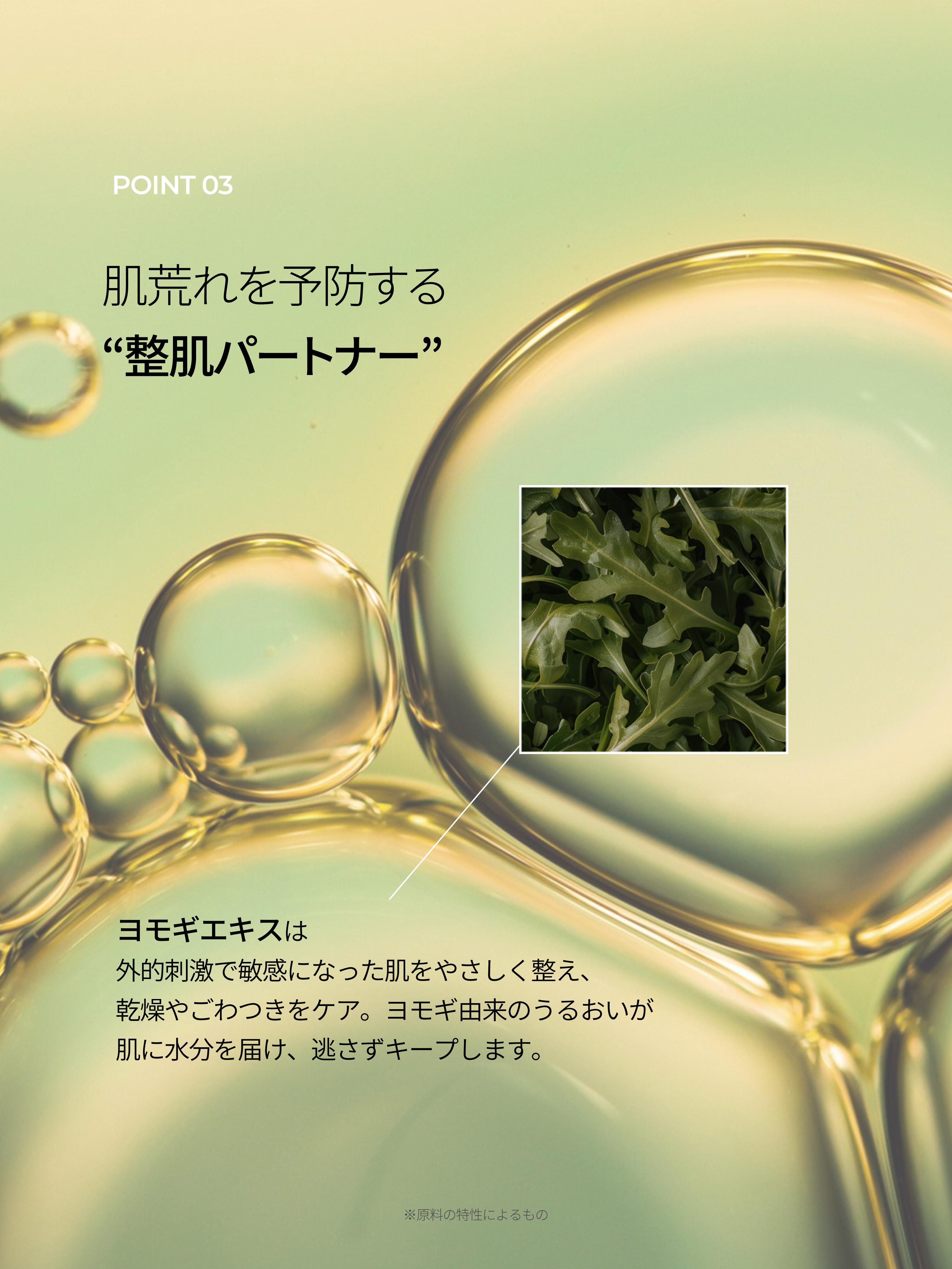 LP画像6 iPad