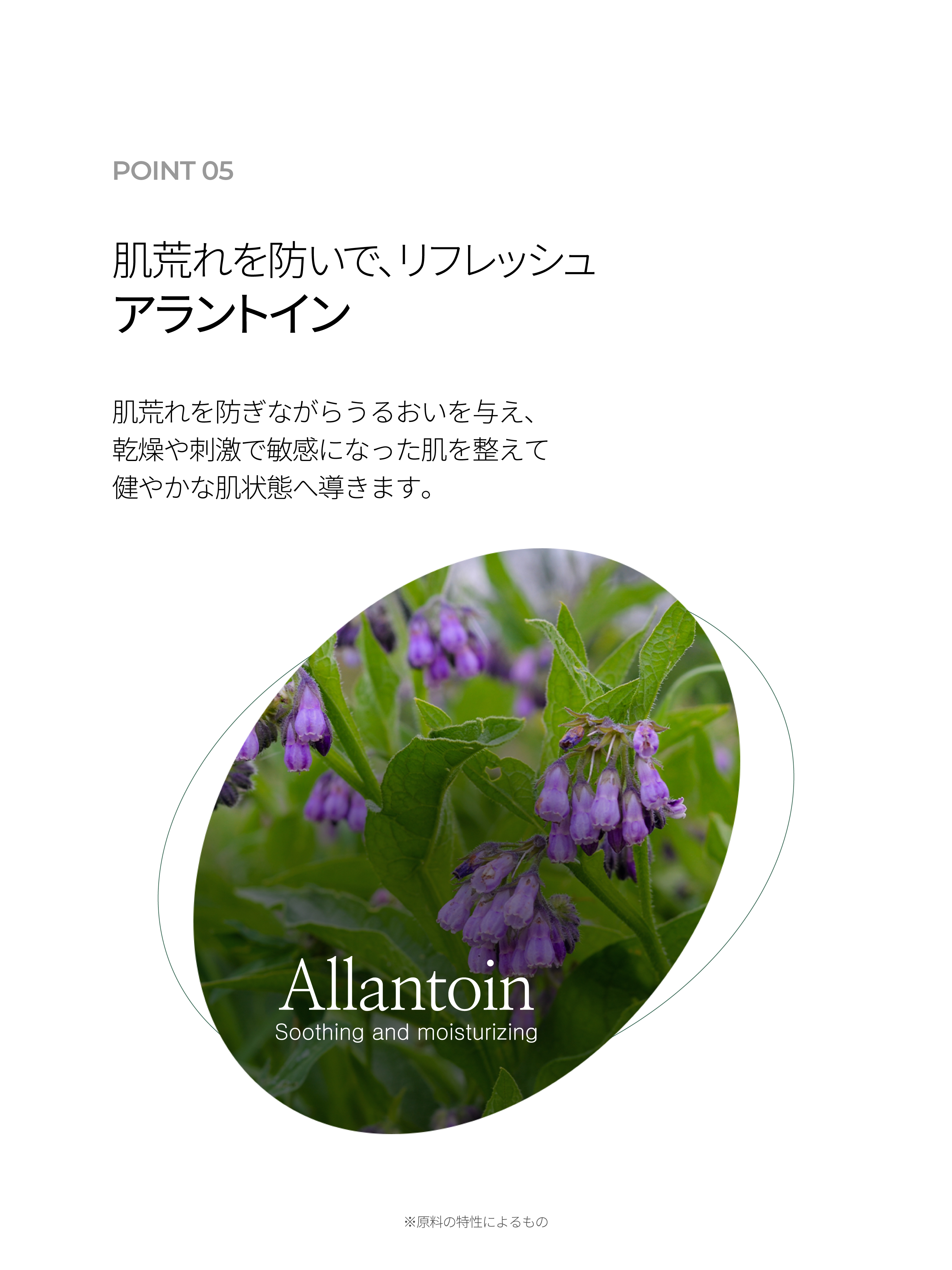 LP画像8 iPad
