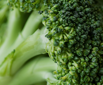 ブロッコリー抽出物