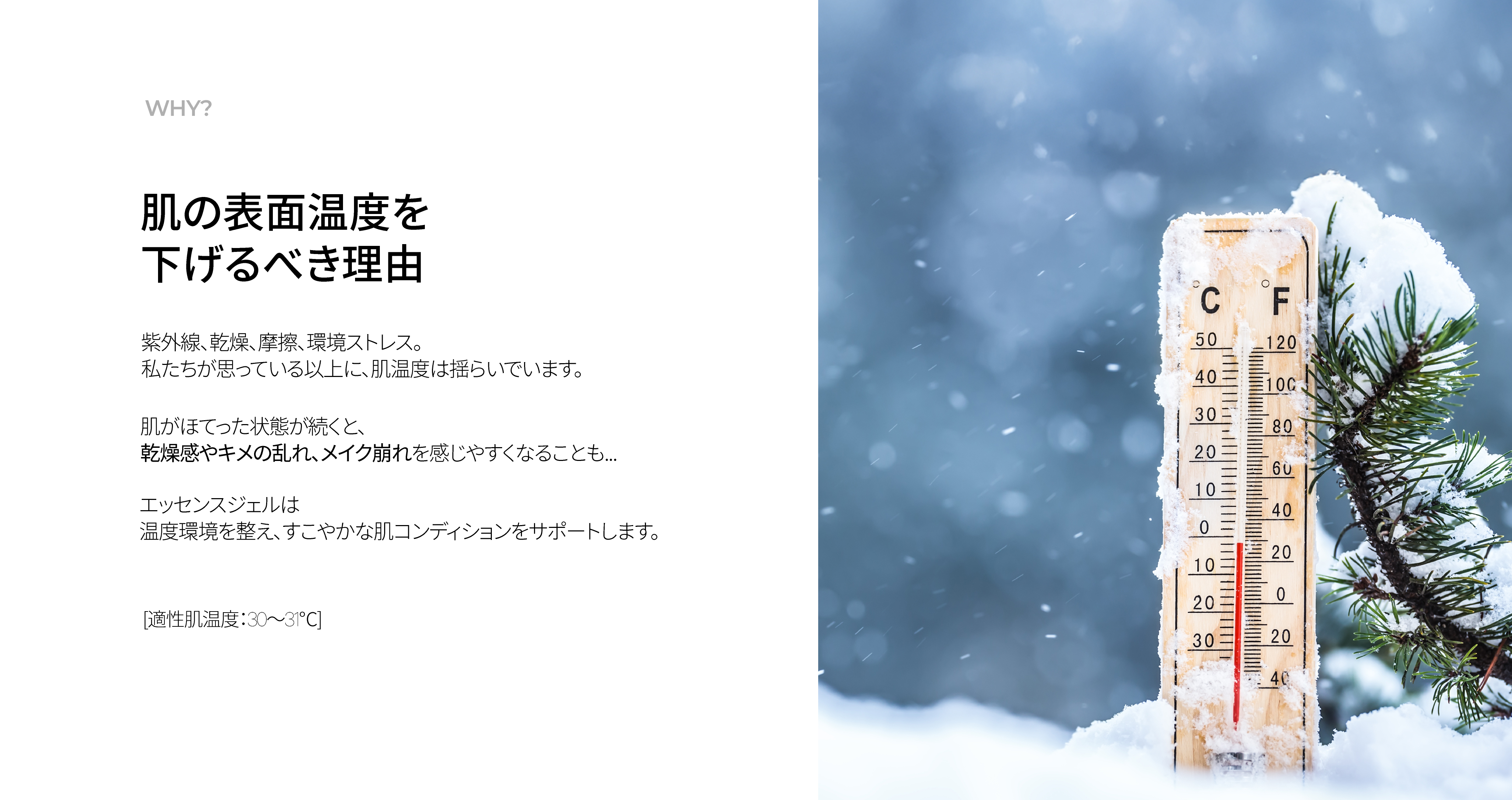 LP画像2 PC