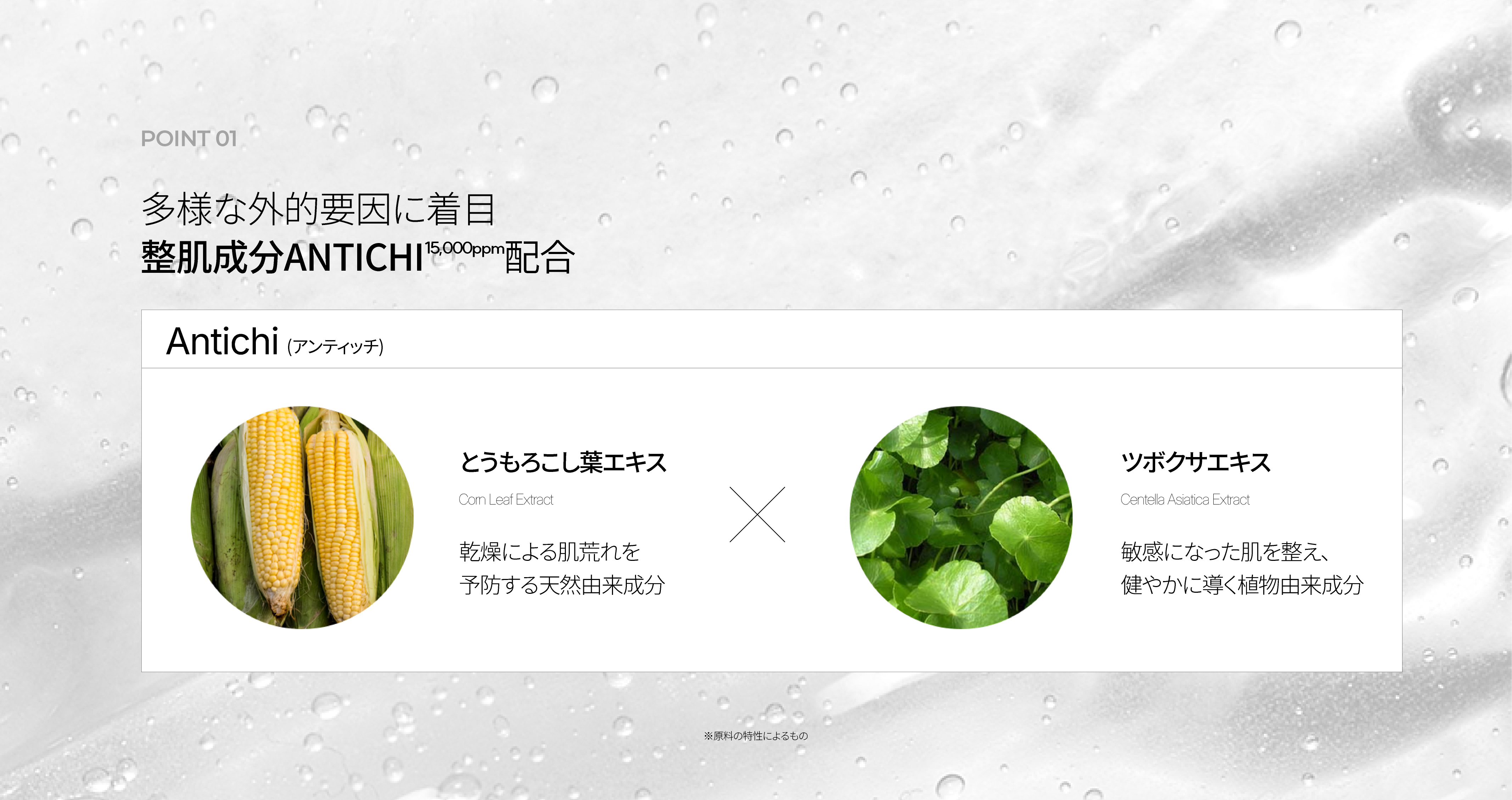 LP画像4 PC