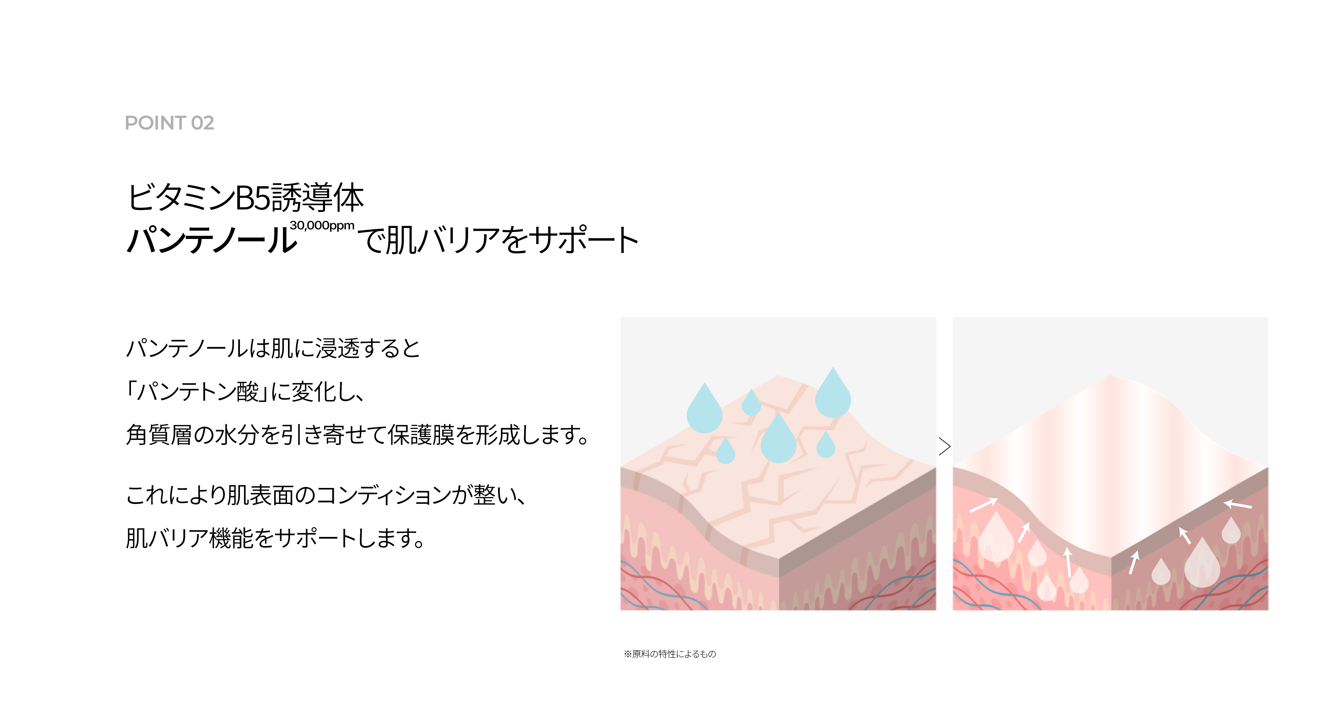 LP画像5 PC