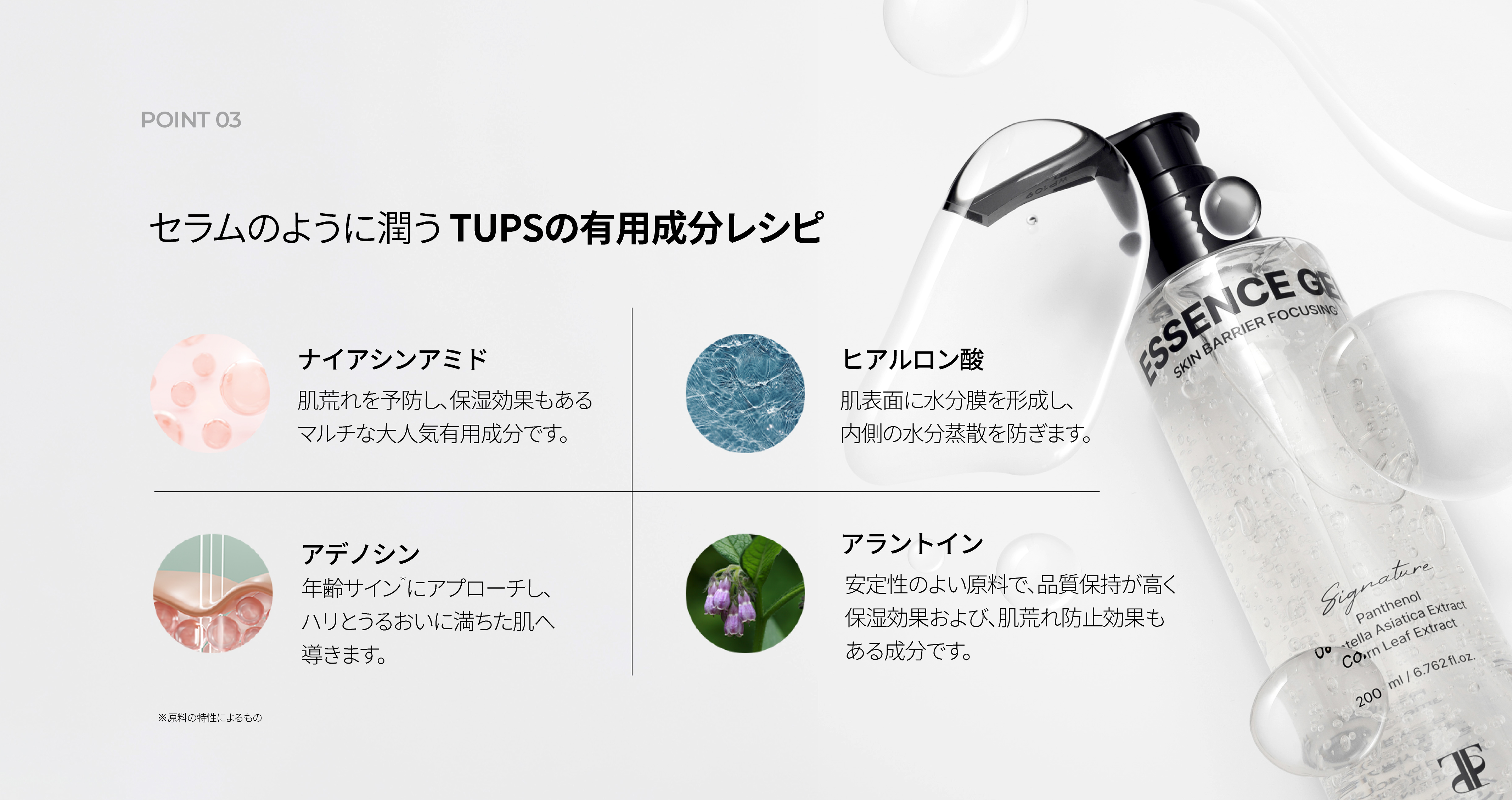 LP画像6 PC