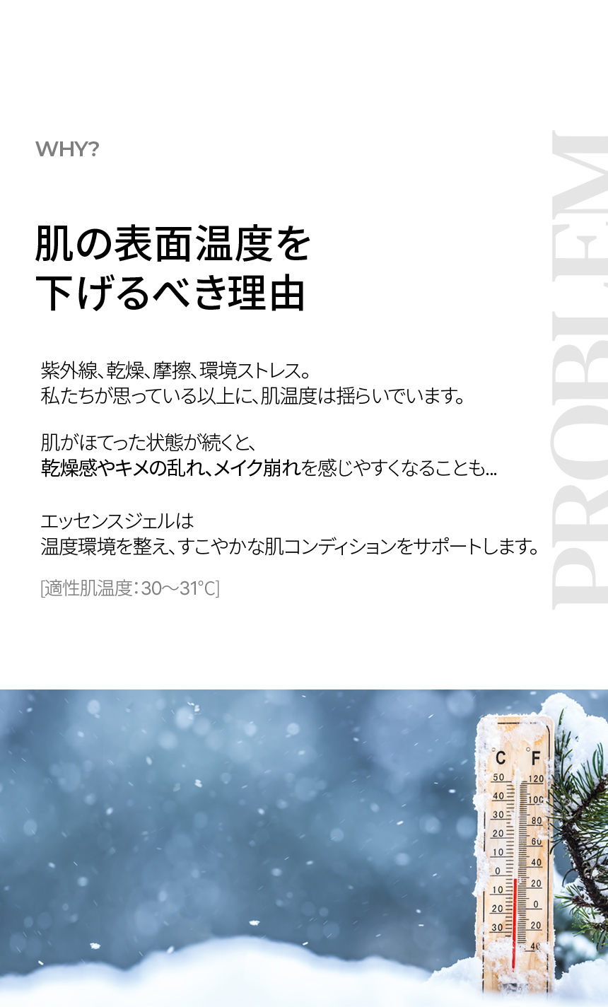 LP画像2 SP