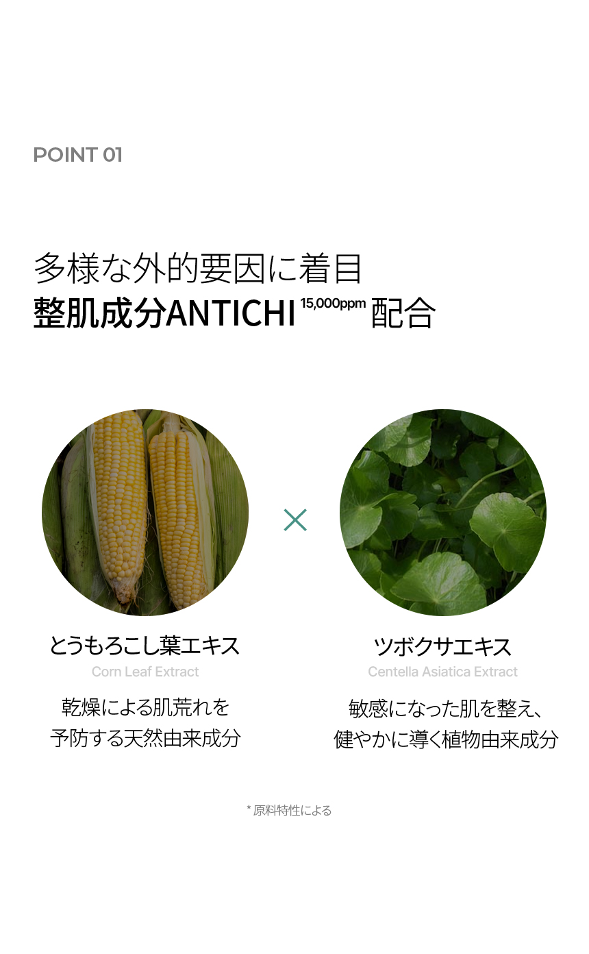 LP画像4 SP