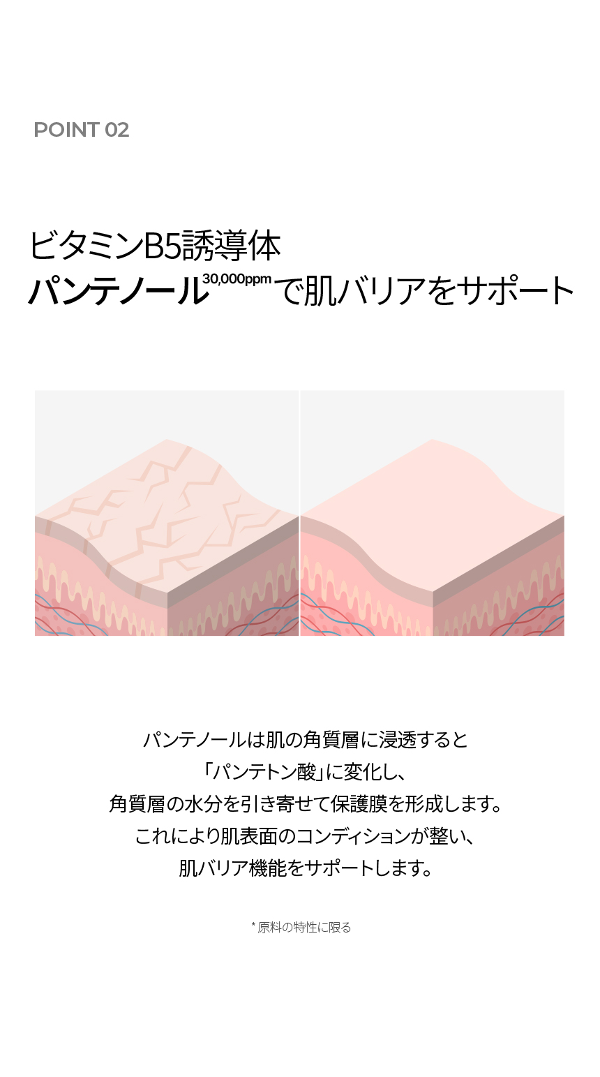 LP画像5 SP