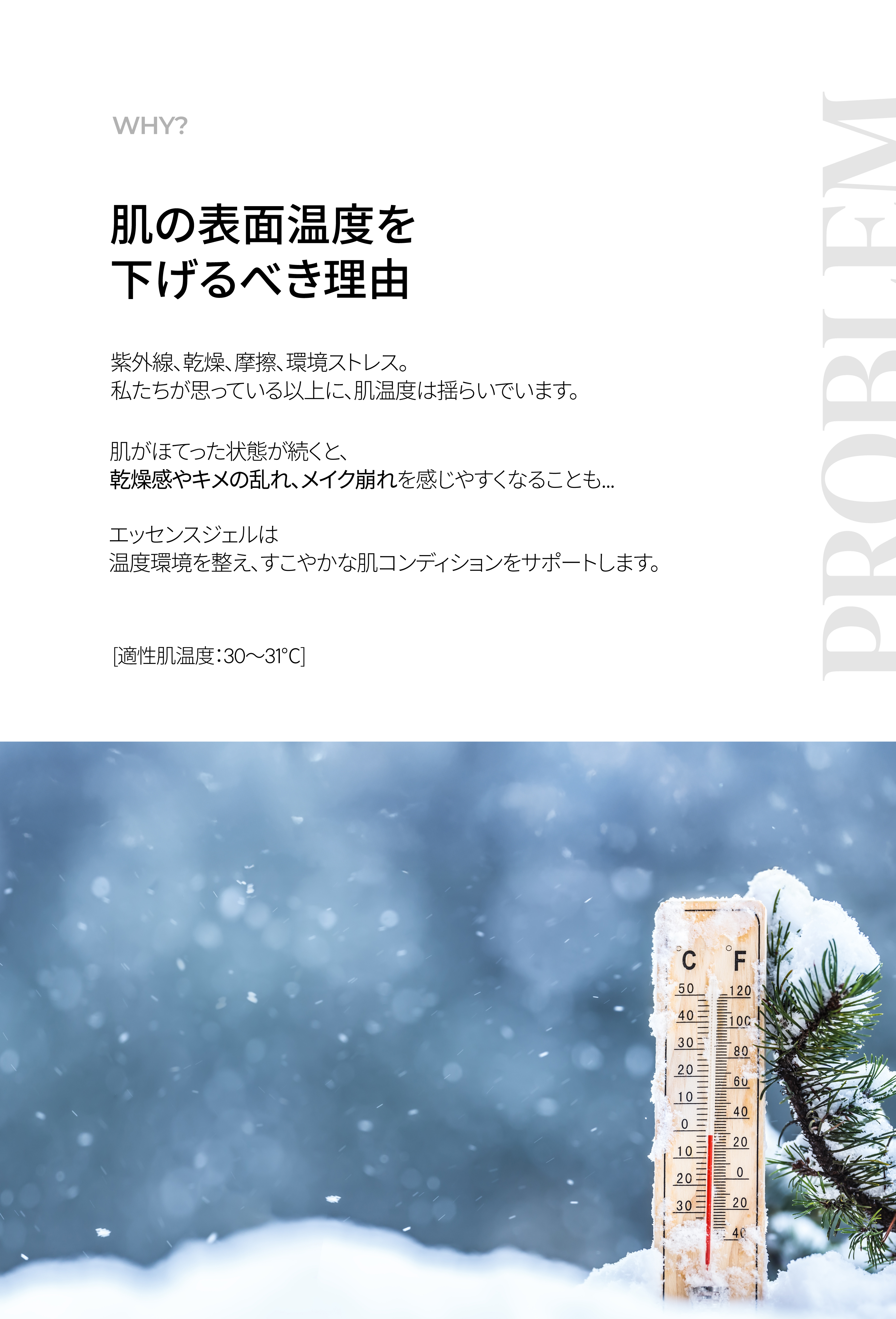LP画像2 iPad