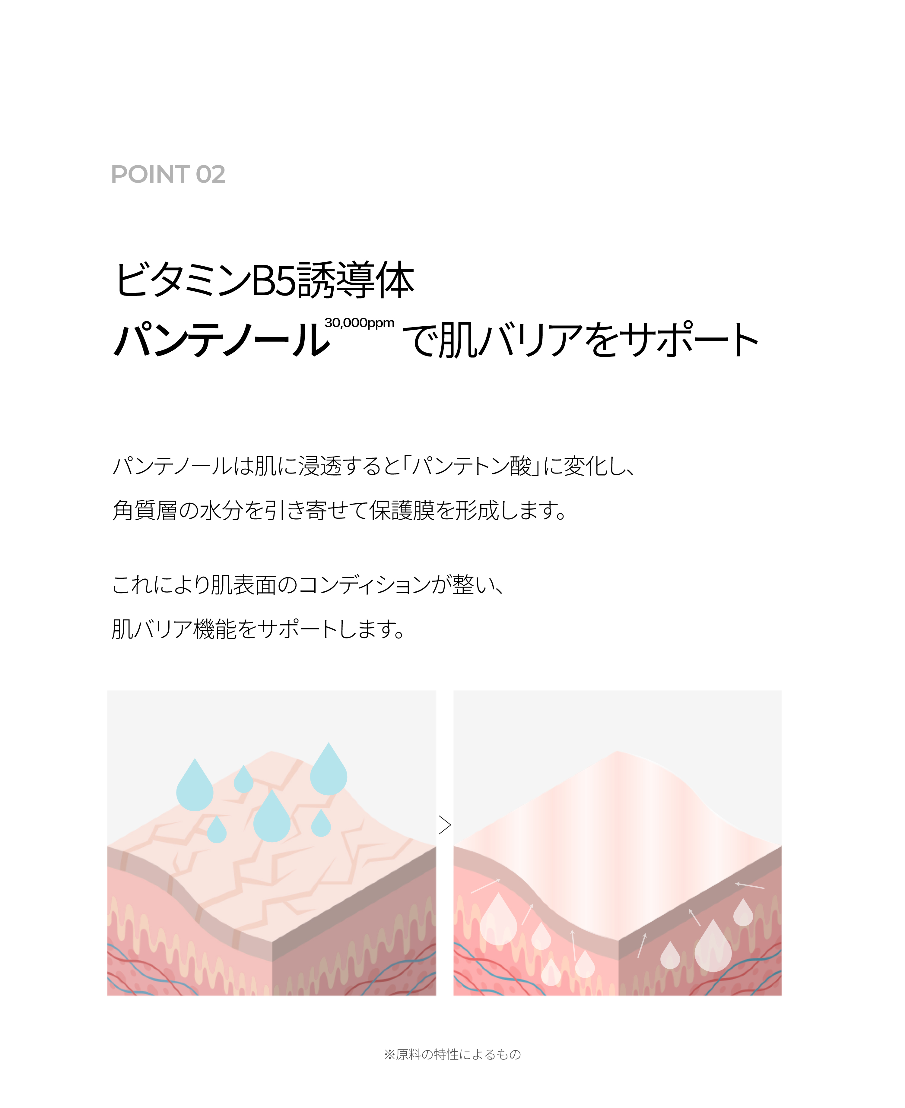 LP画像5 iPad