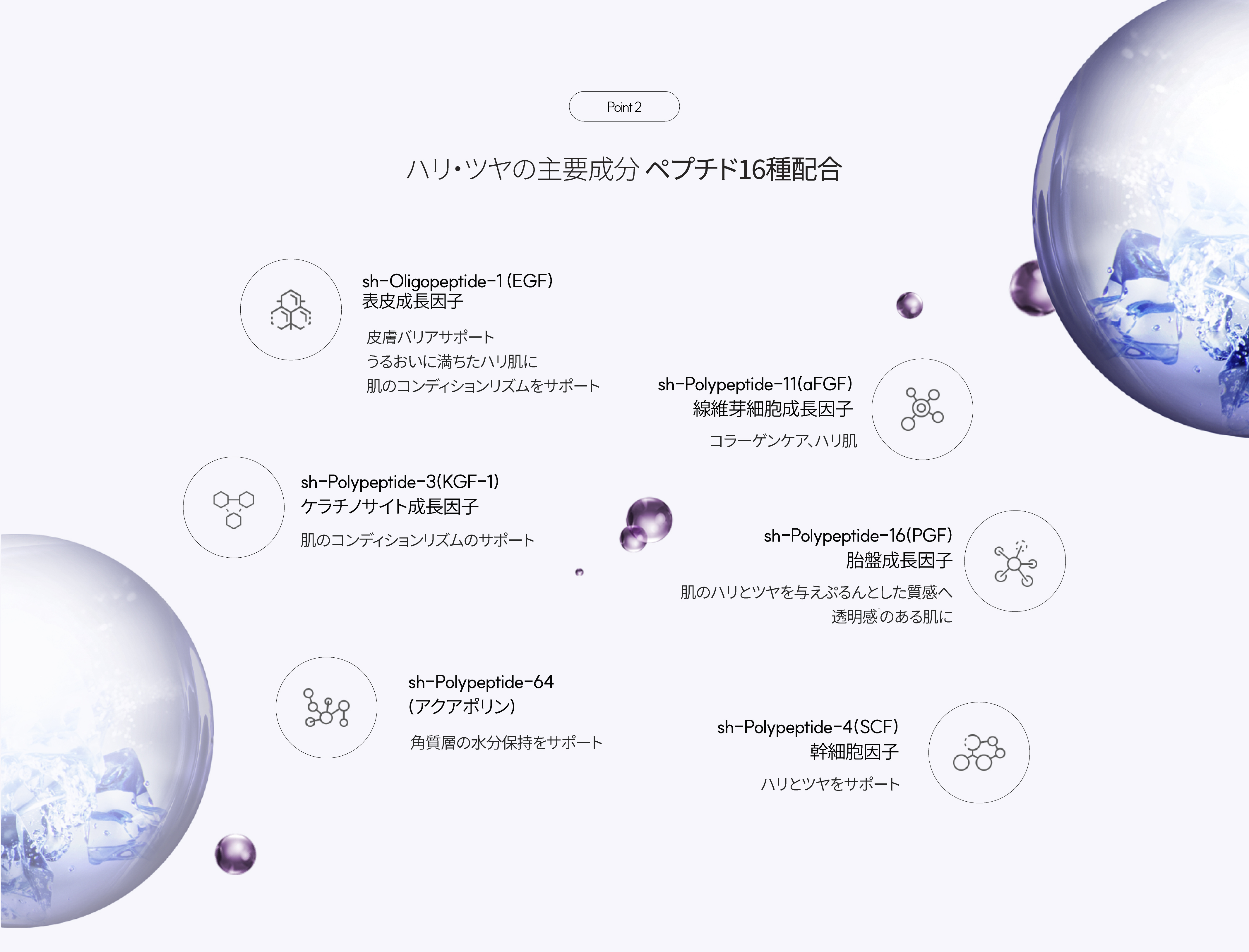 LP画像3 PC
