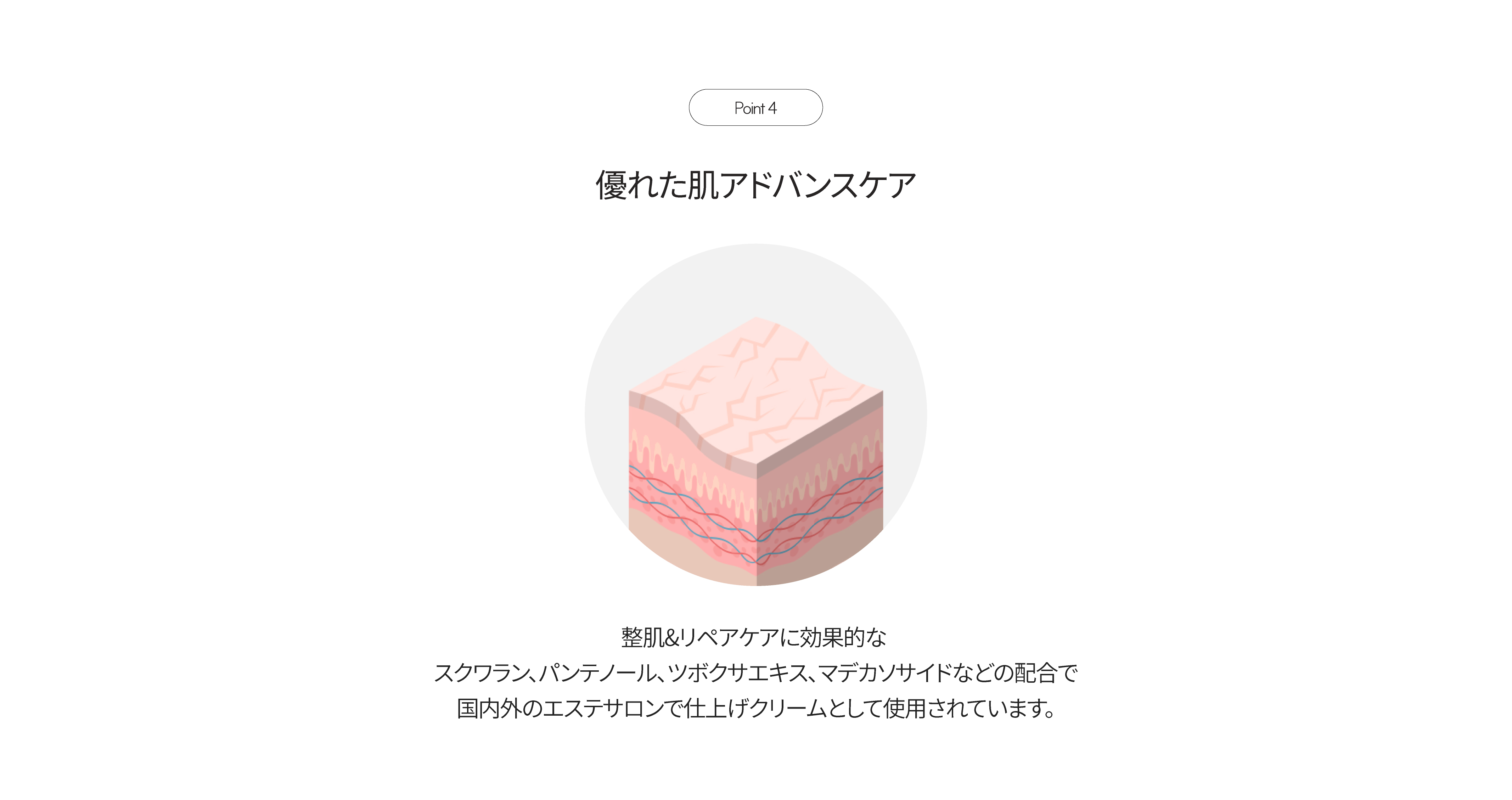 LP画像5 PC
