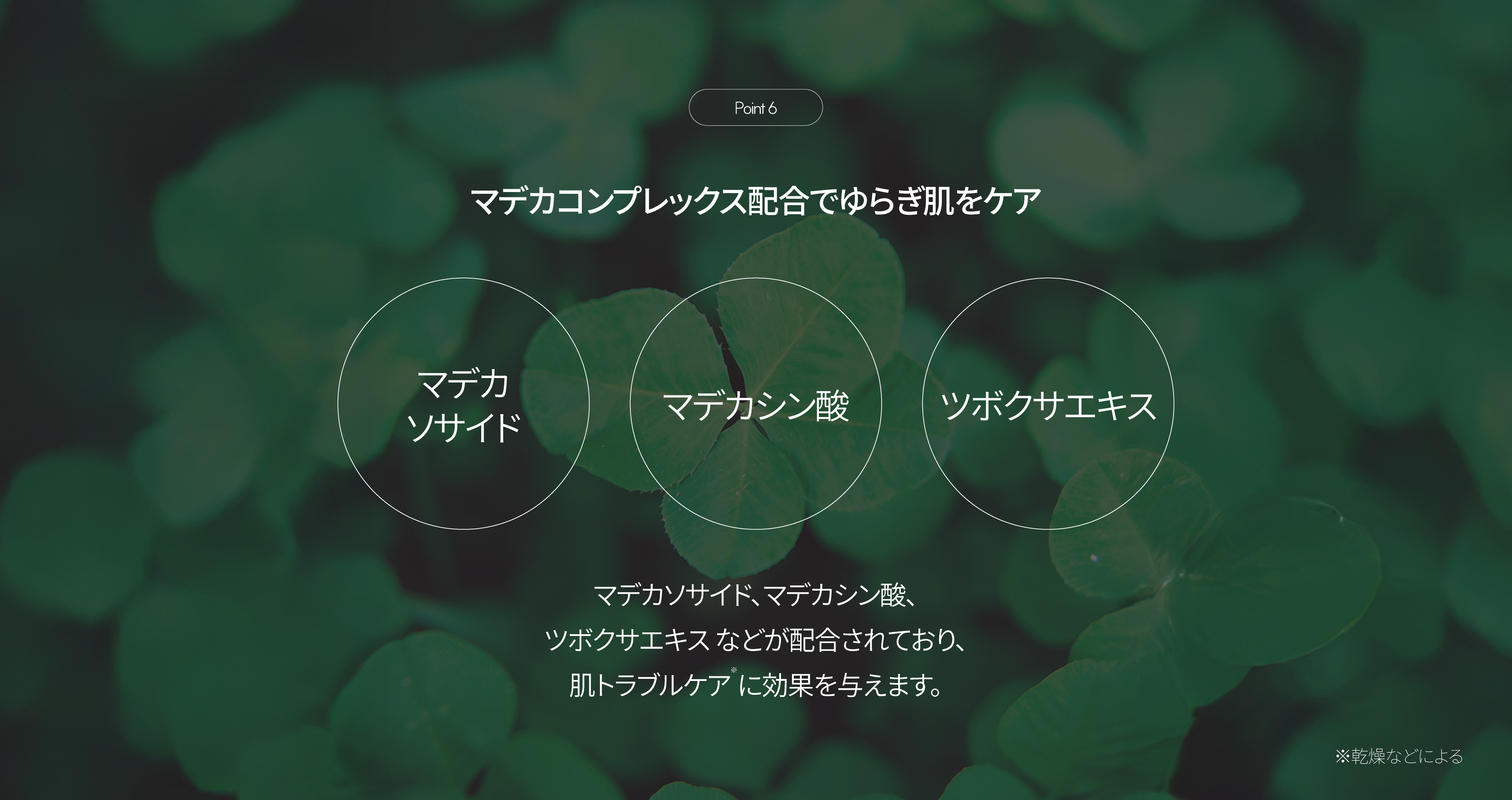 LP画像7 PC