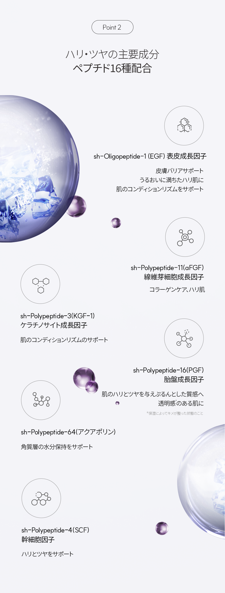 LP画像3 SP