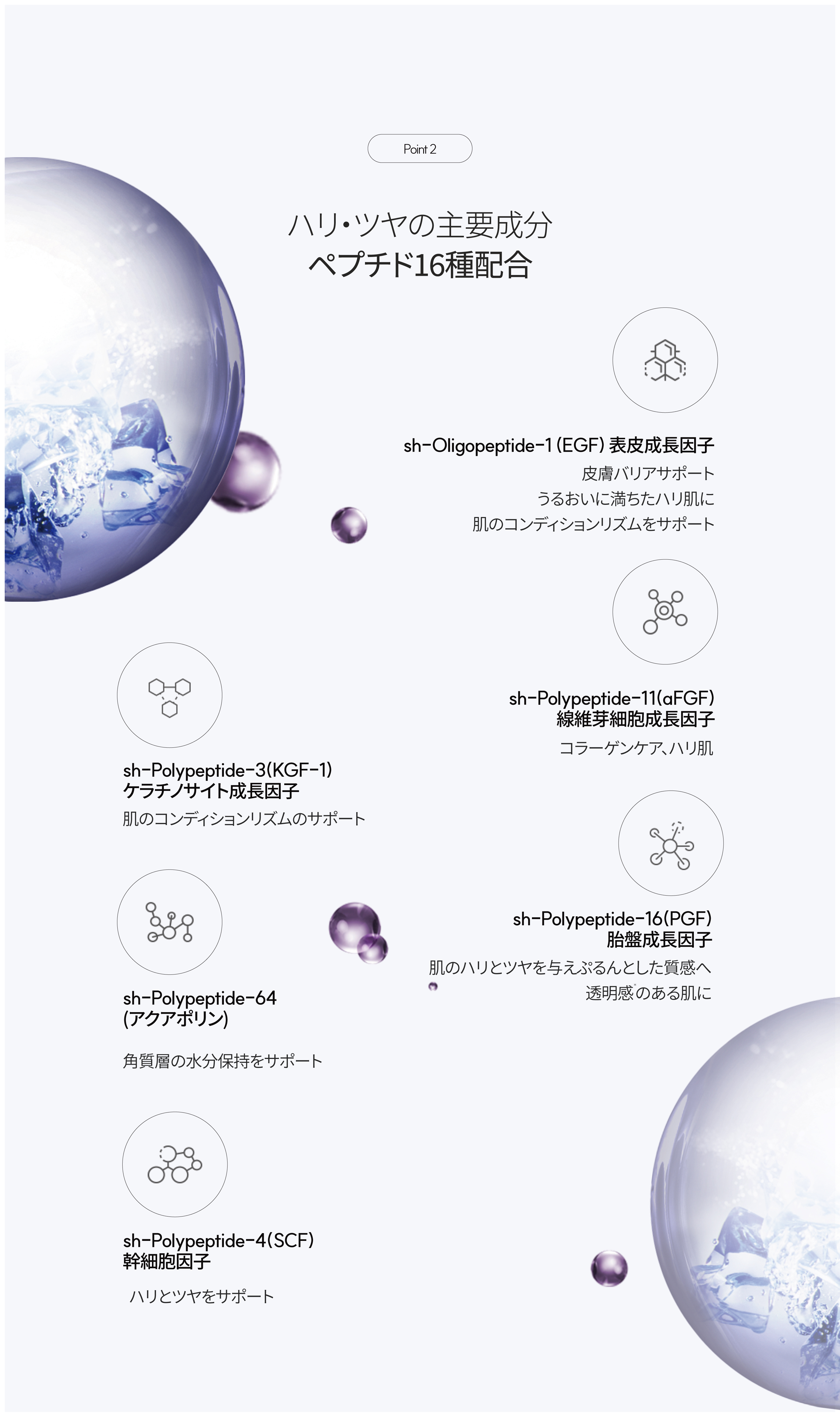 LP画像3 iPad