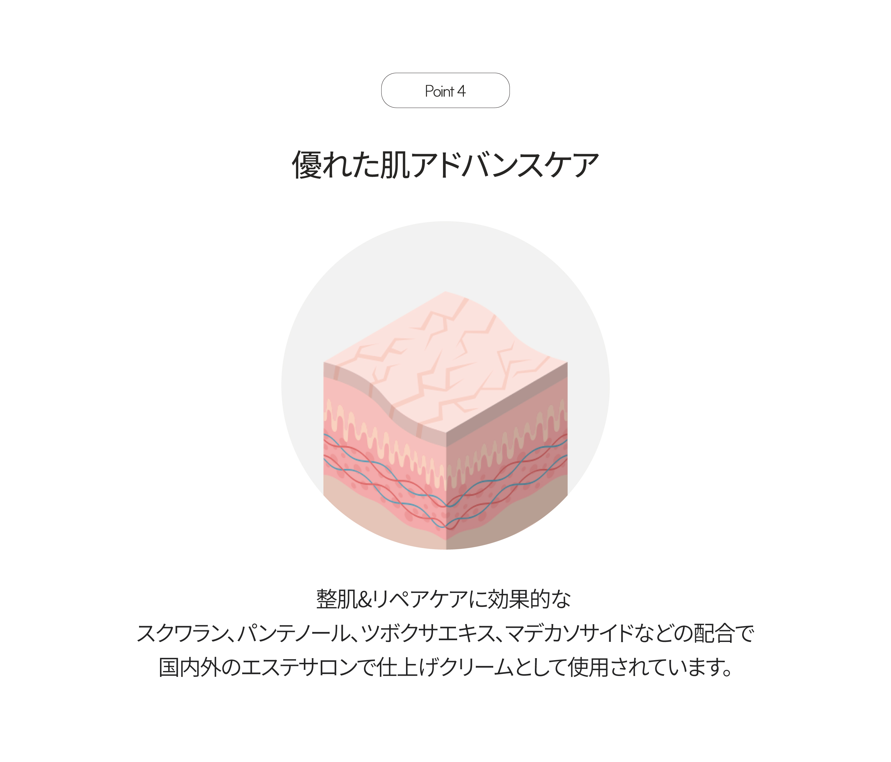 LP画像5 iPad