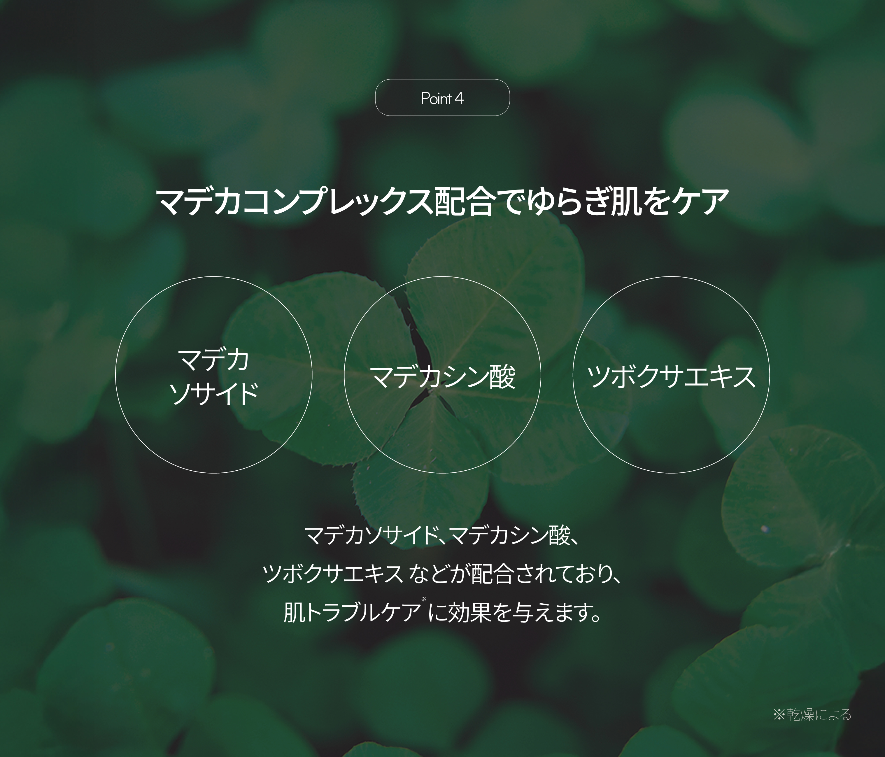 LP画像7 iPad