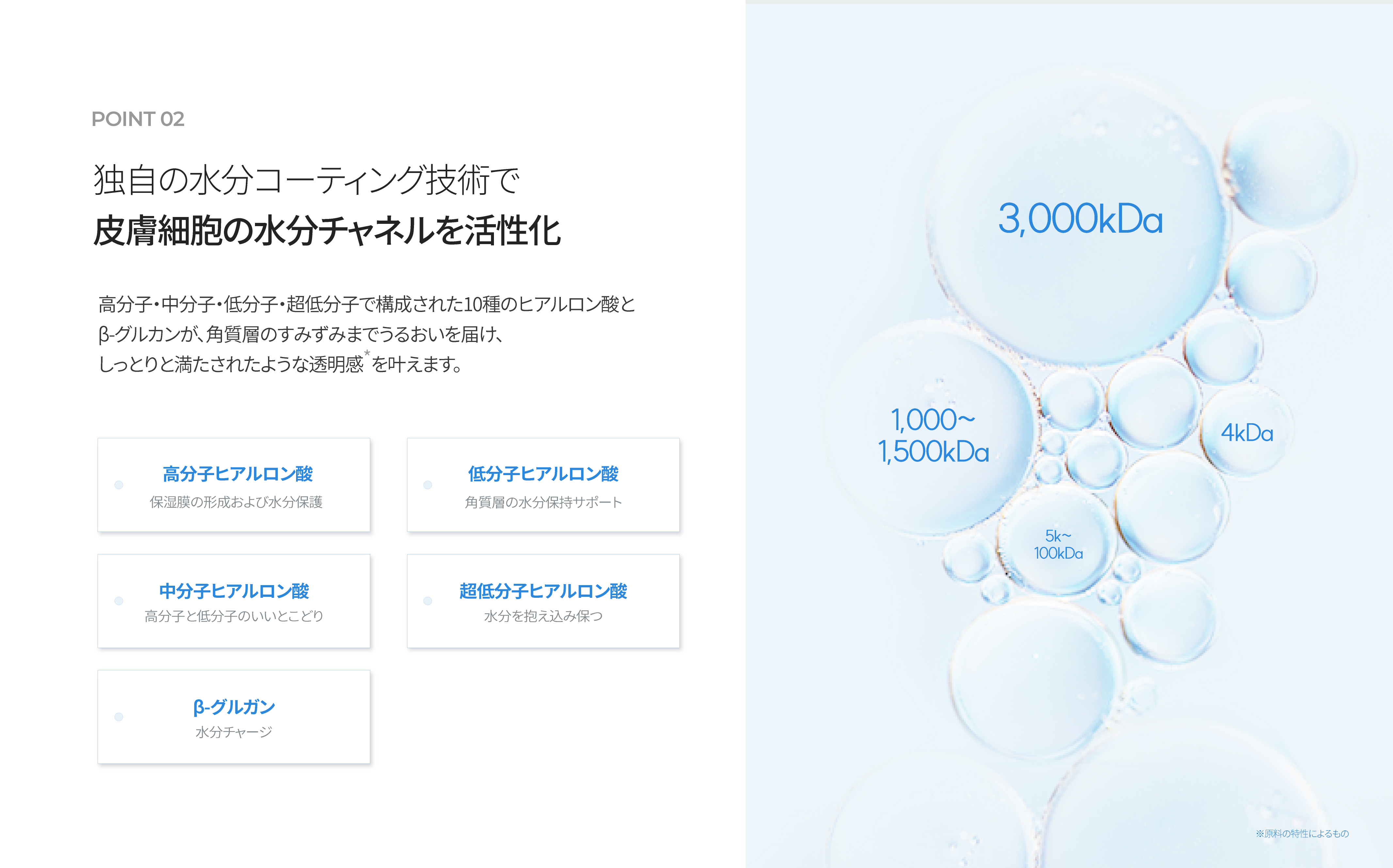 LP画像5 PC