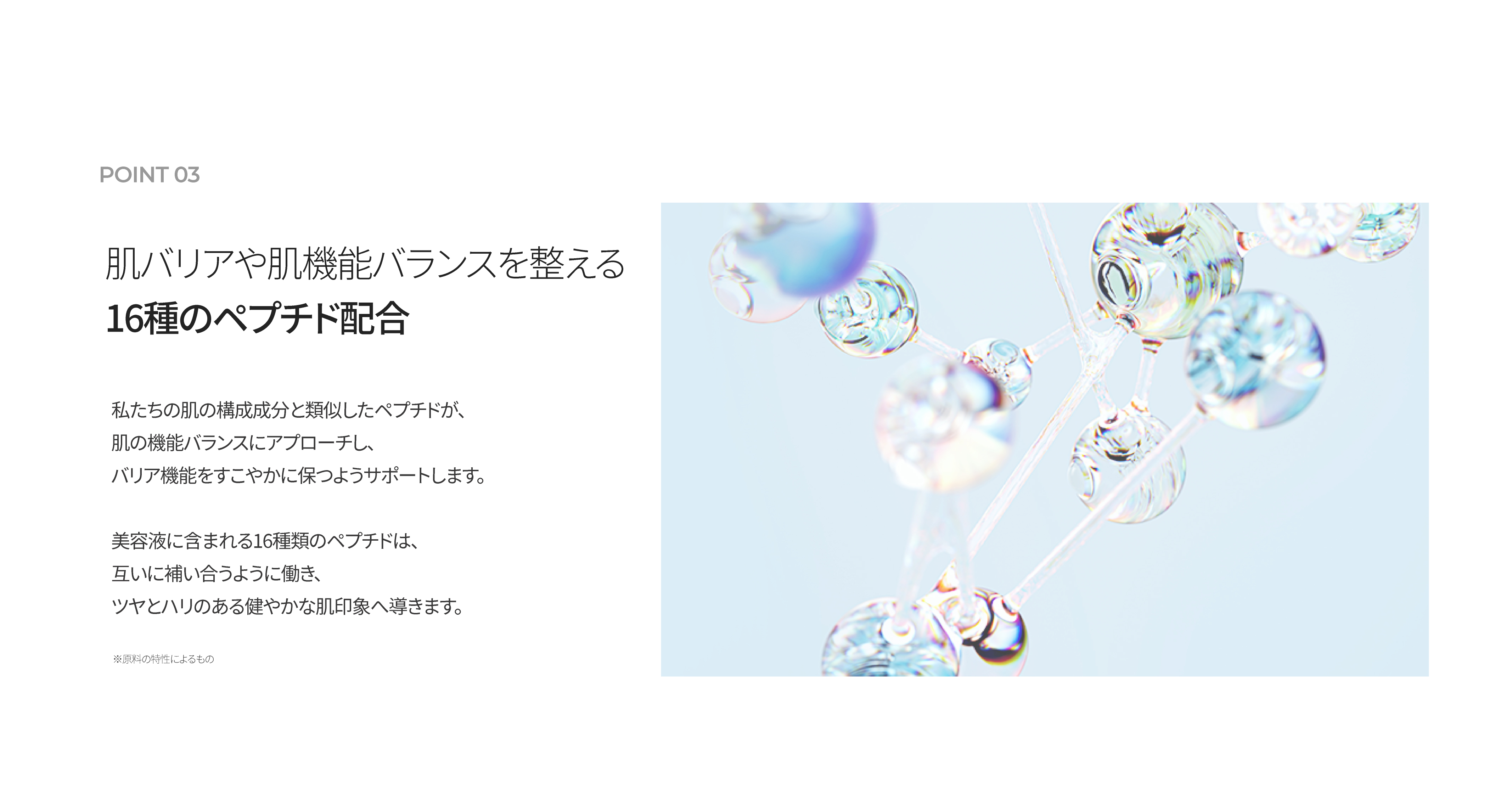 LP画像6 PC