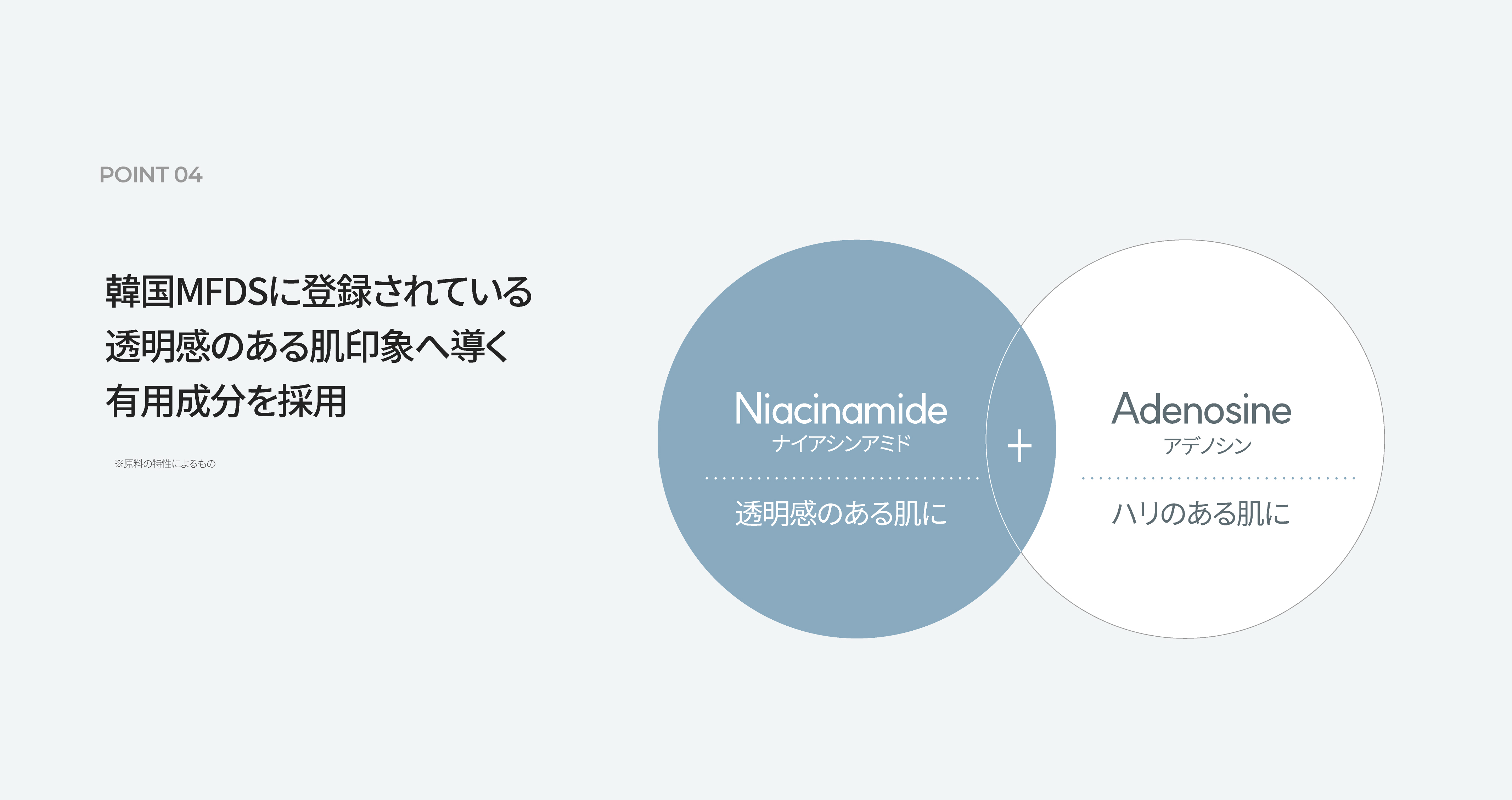 LP画像7 PC