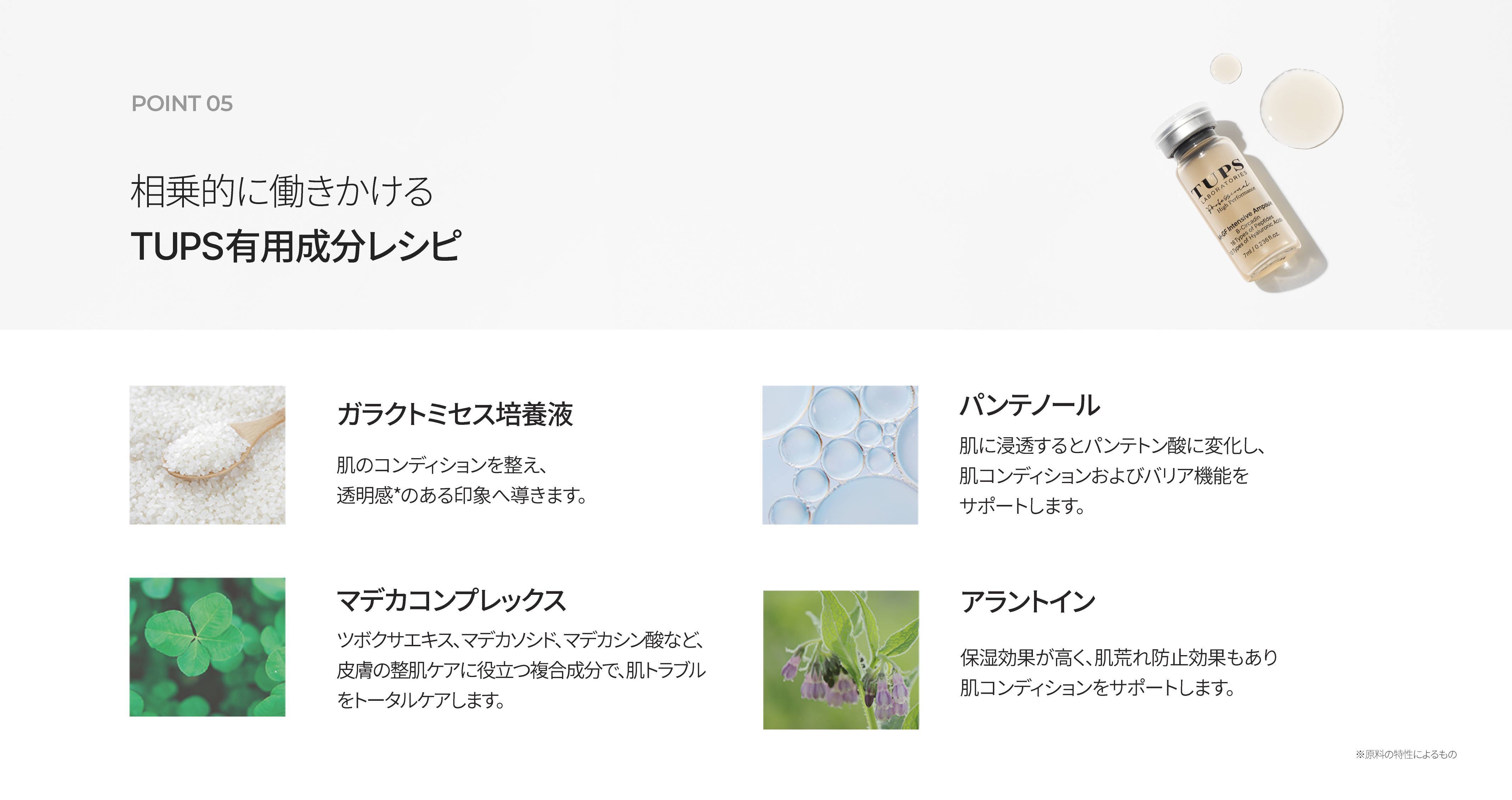 LP画像8 PC