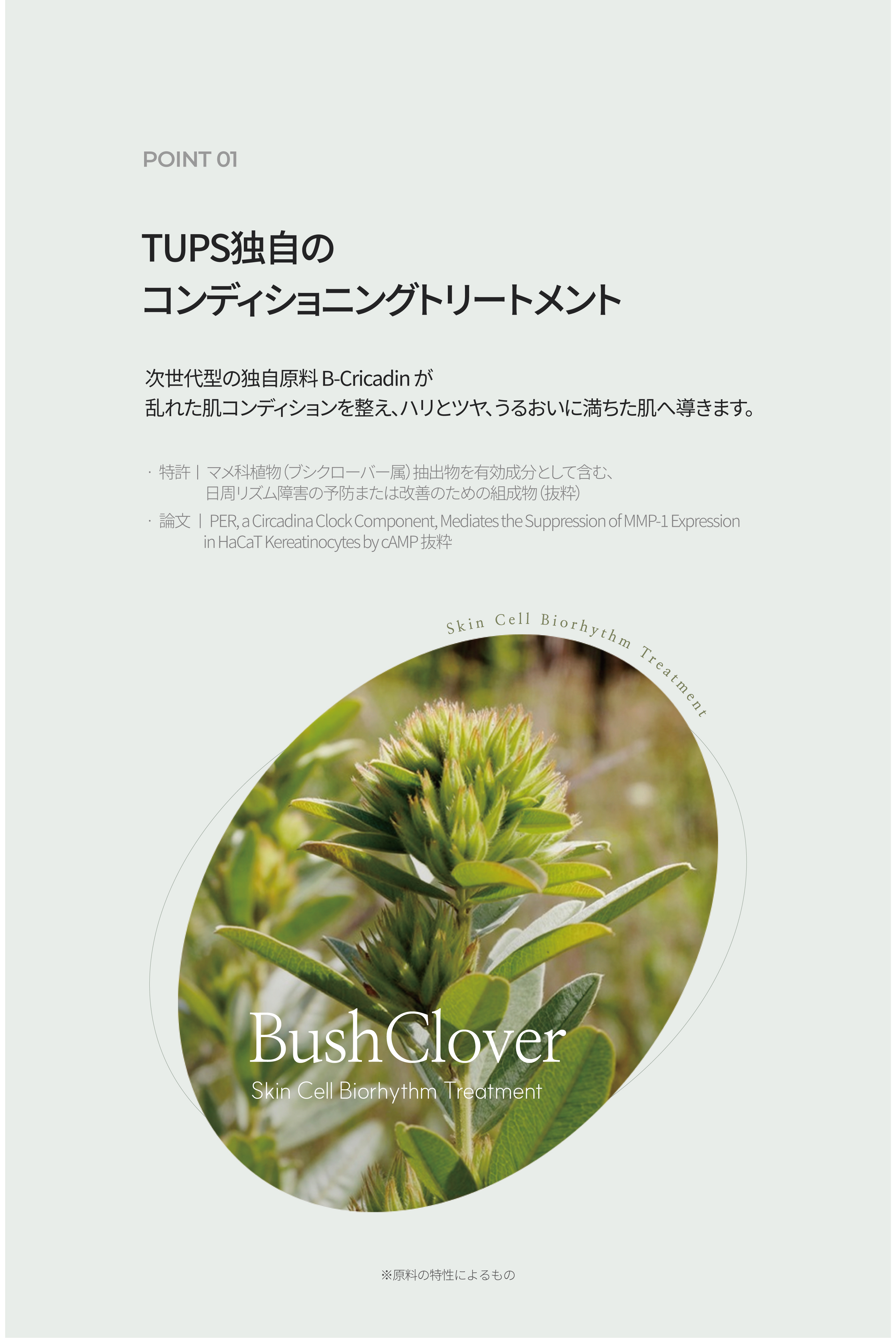 LP画像4 iPad