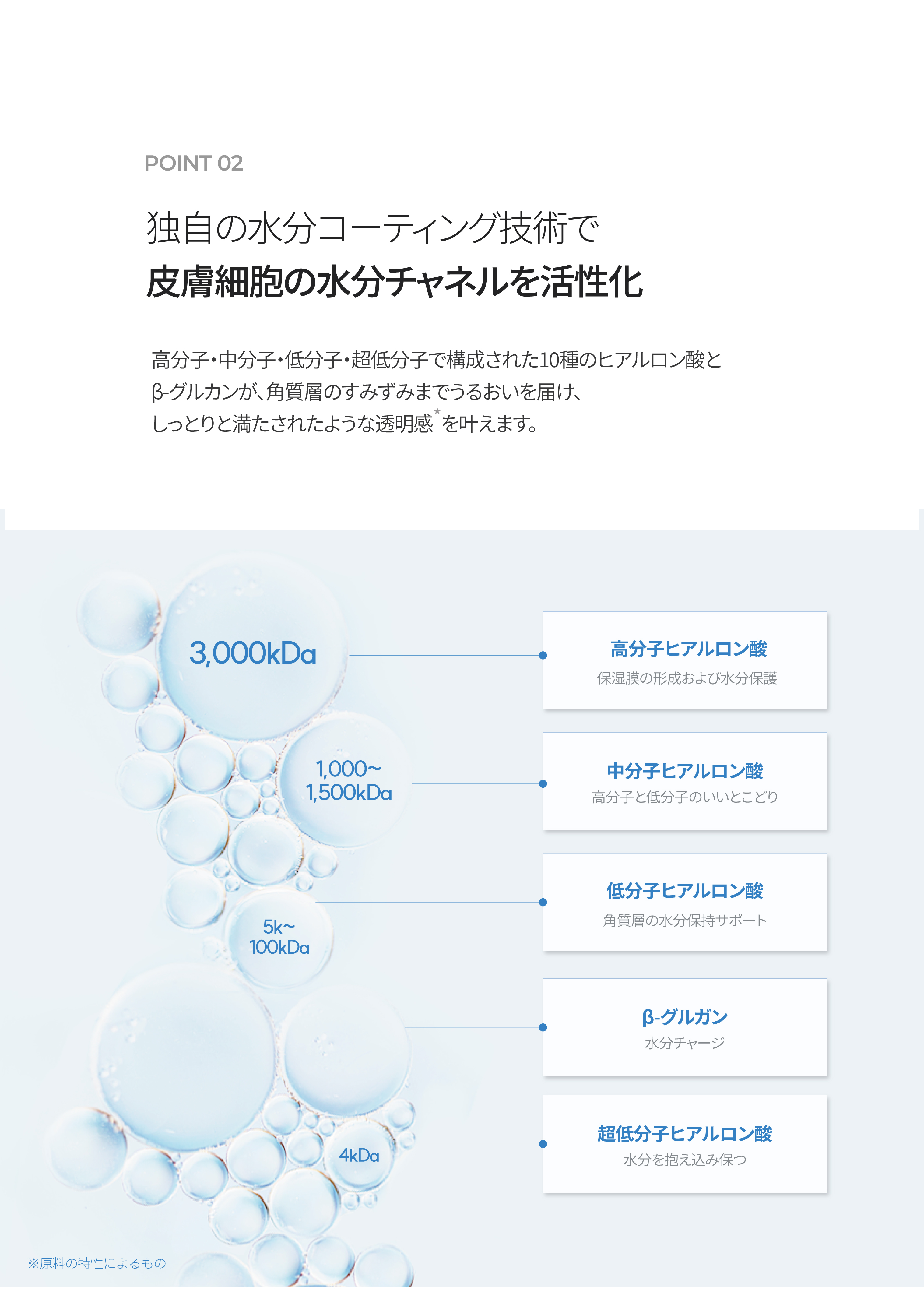 LP画像5 iPad