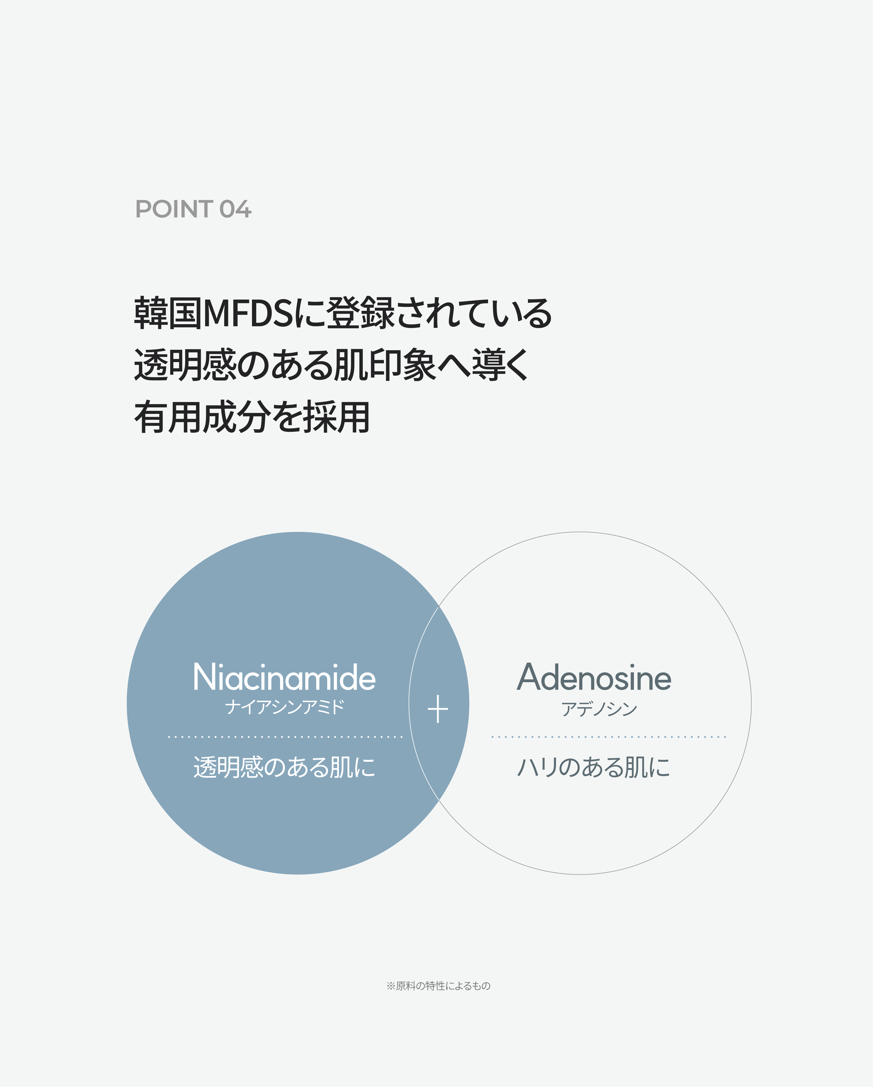 LP画像7 iPad