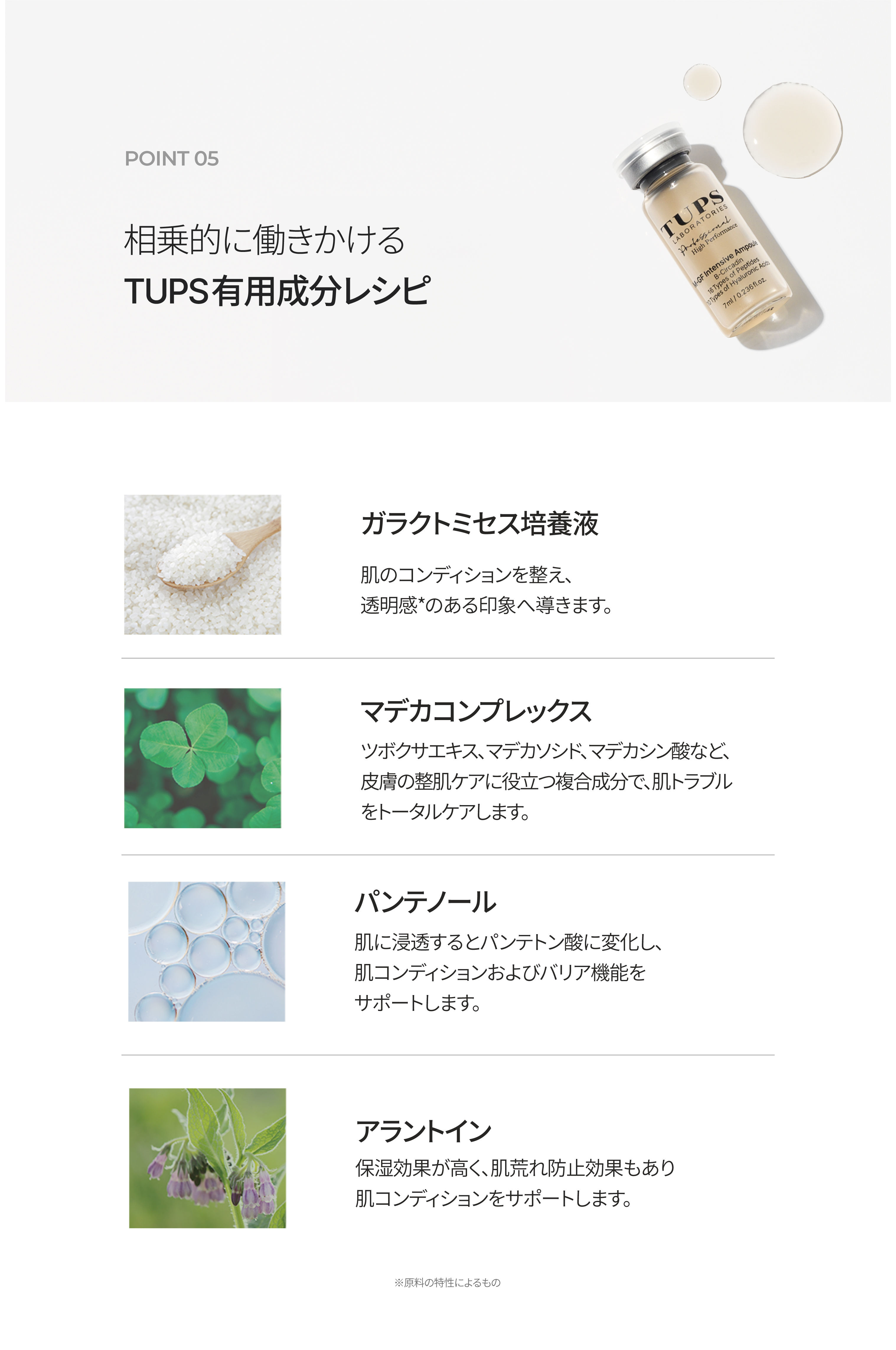 LP画像8 iPad