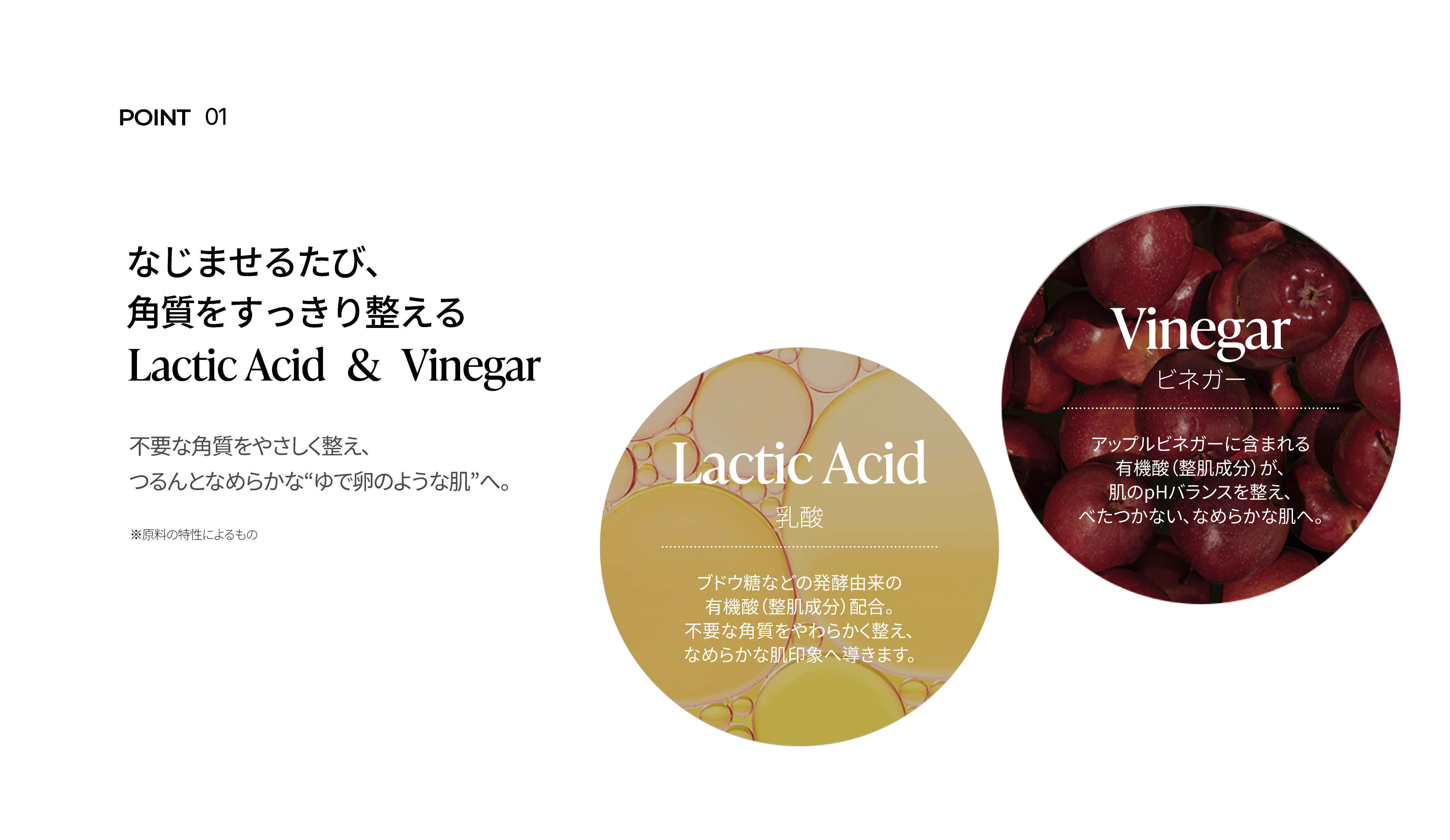 LP画像3 PC