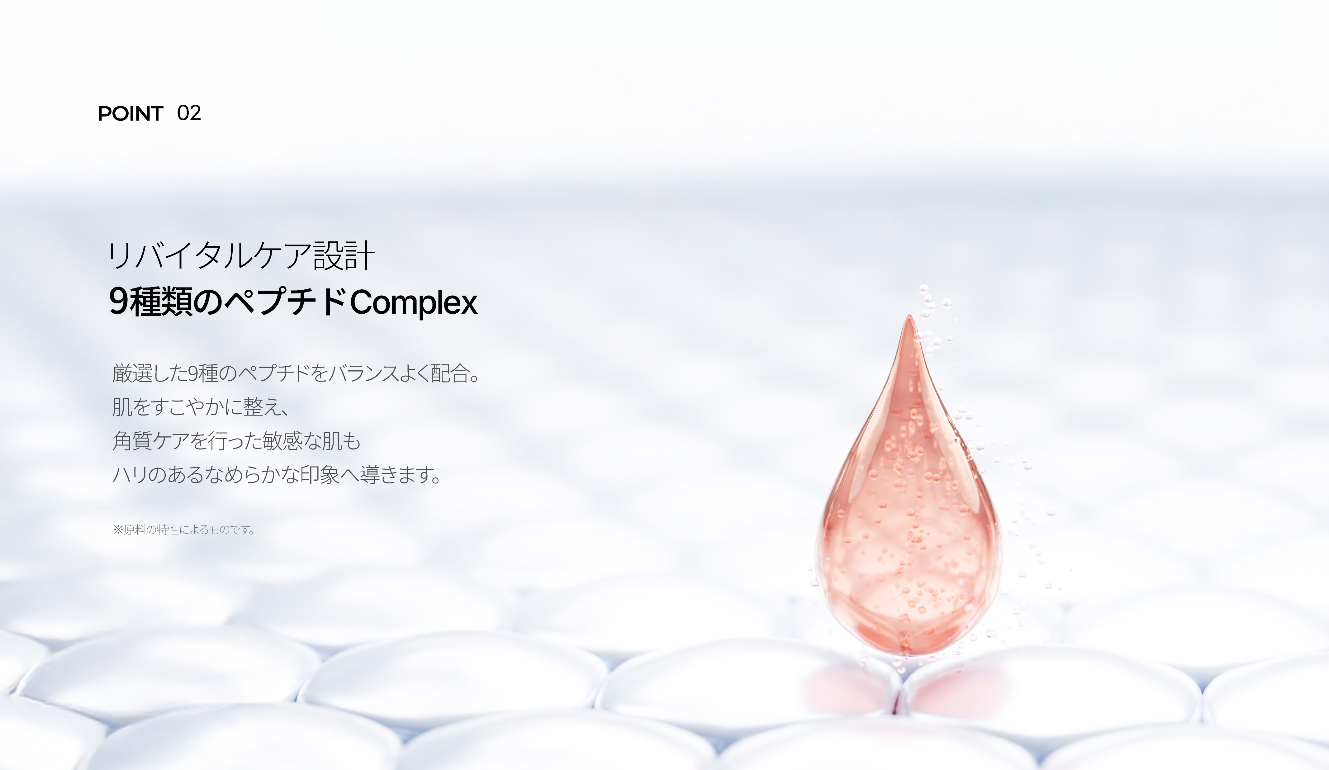 LP画像4 PC
