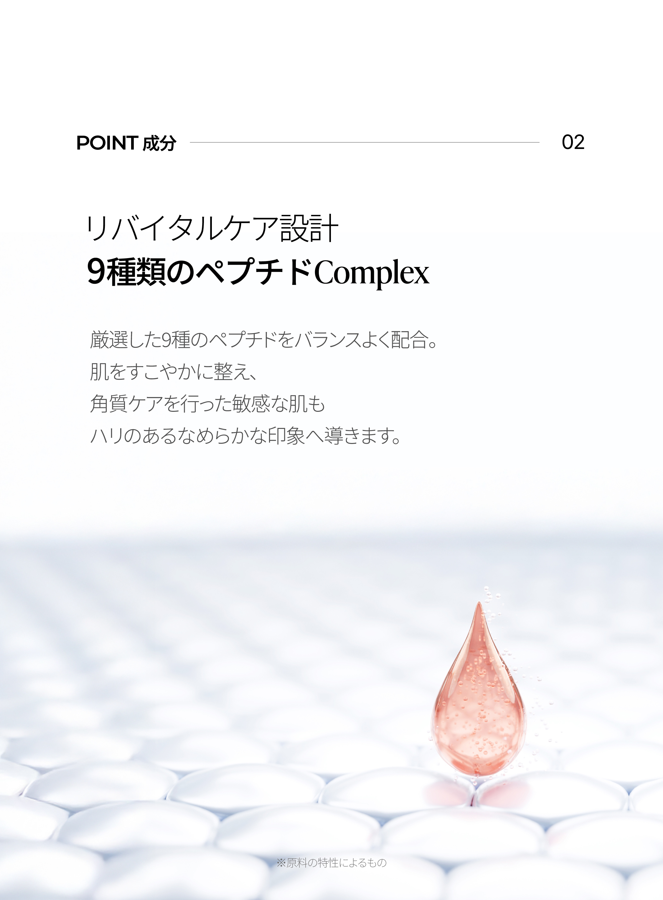 LP画像4 SP