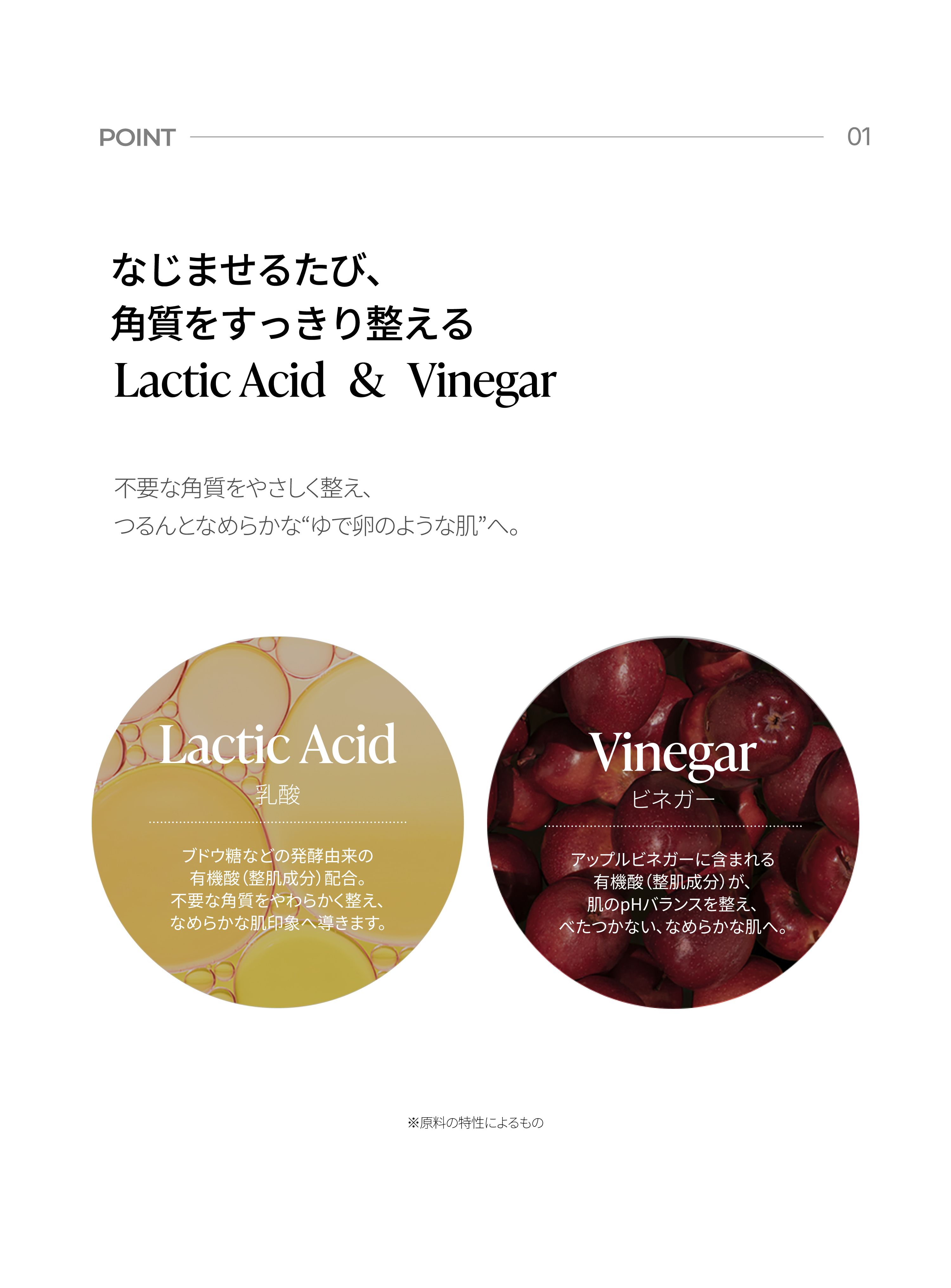 LP画像3 iPad