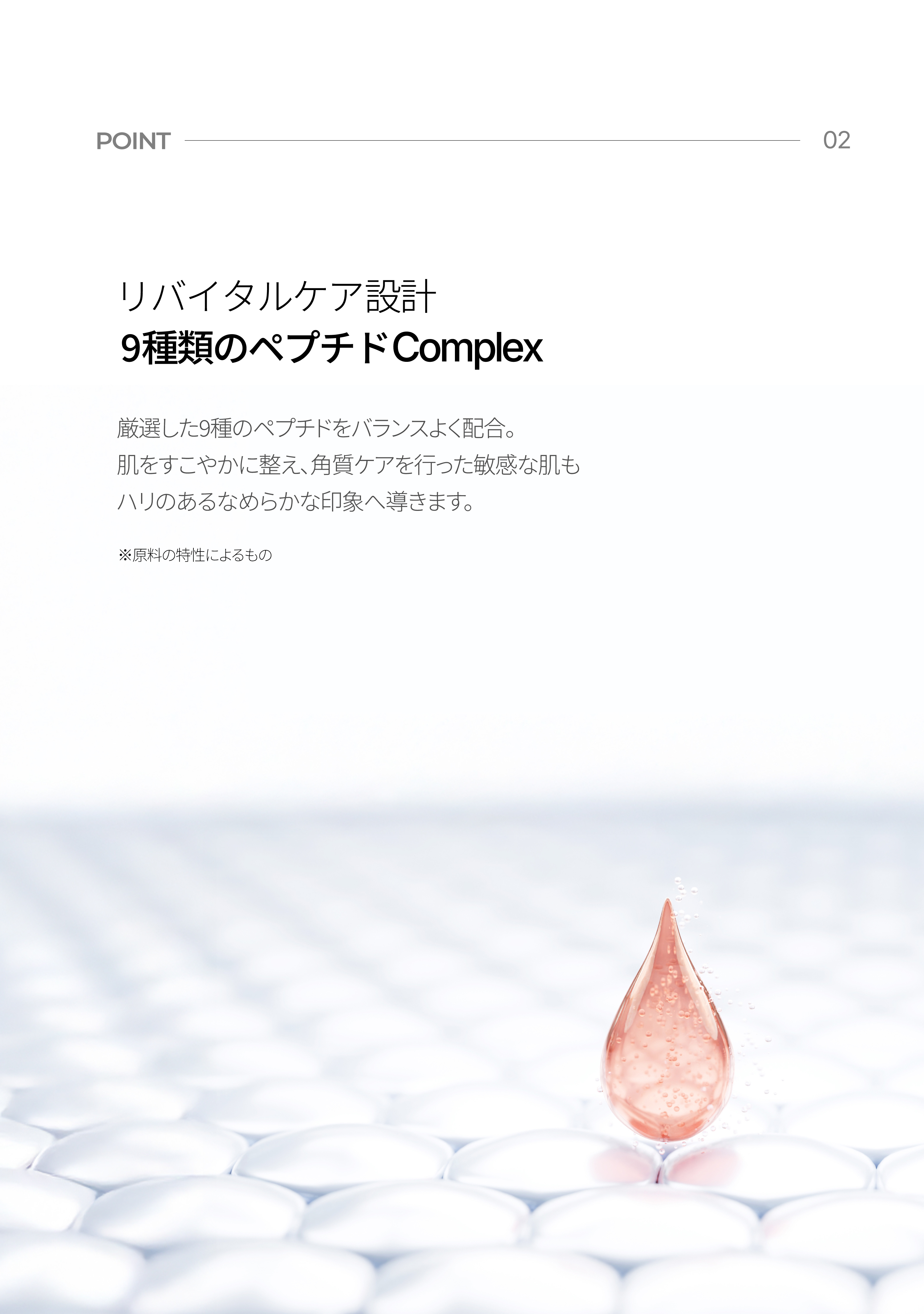 LP画像4 iPad