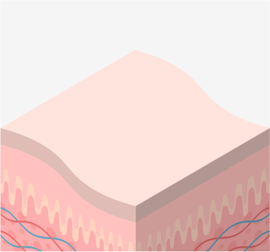 正常肌イメージ