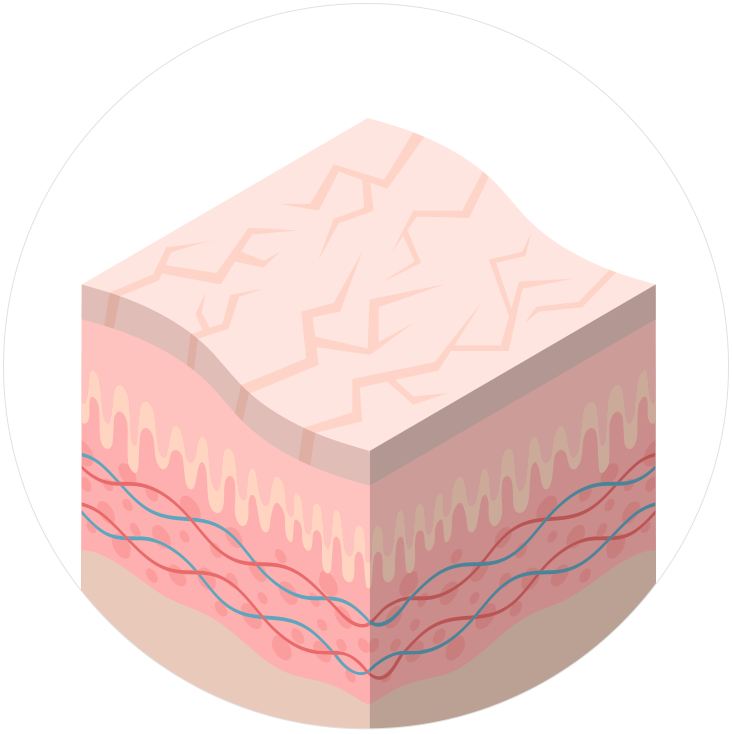 低分子/中分子/高分子 ヒアルロン酸 10種