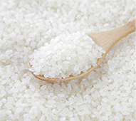 ガラクトミセス