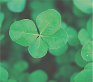 マデカコンプレックス